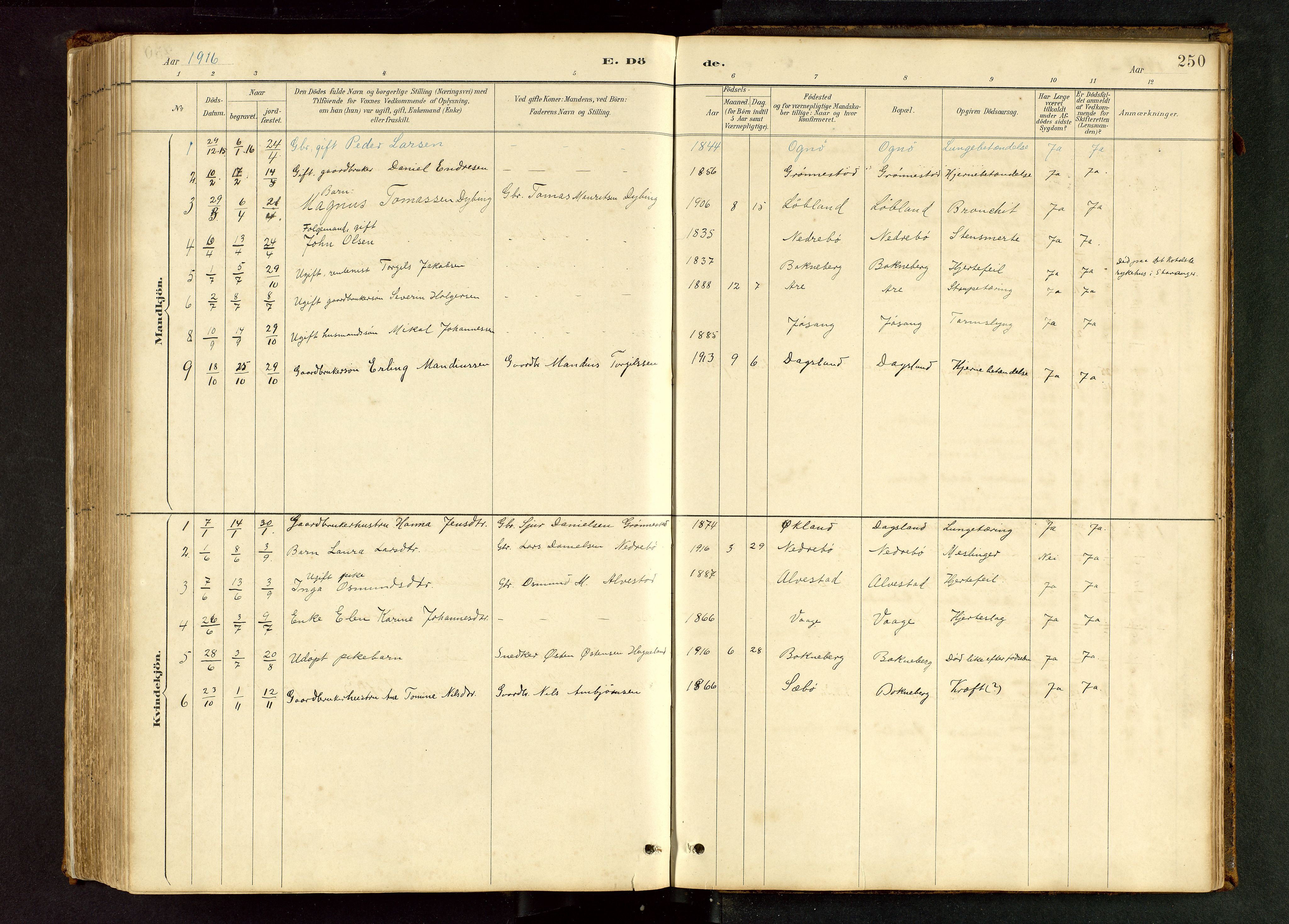 Tysvær sokneprestkontor, SAST/A -101864/H/Ha/Hab/L0005: Klokkerbok nr. B 5, 1887-1947, s. 250