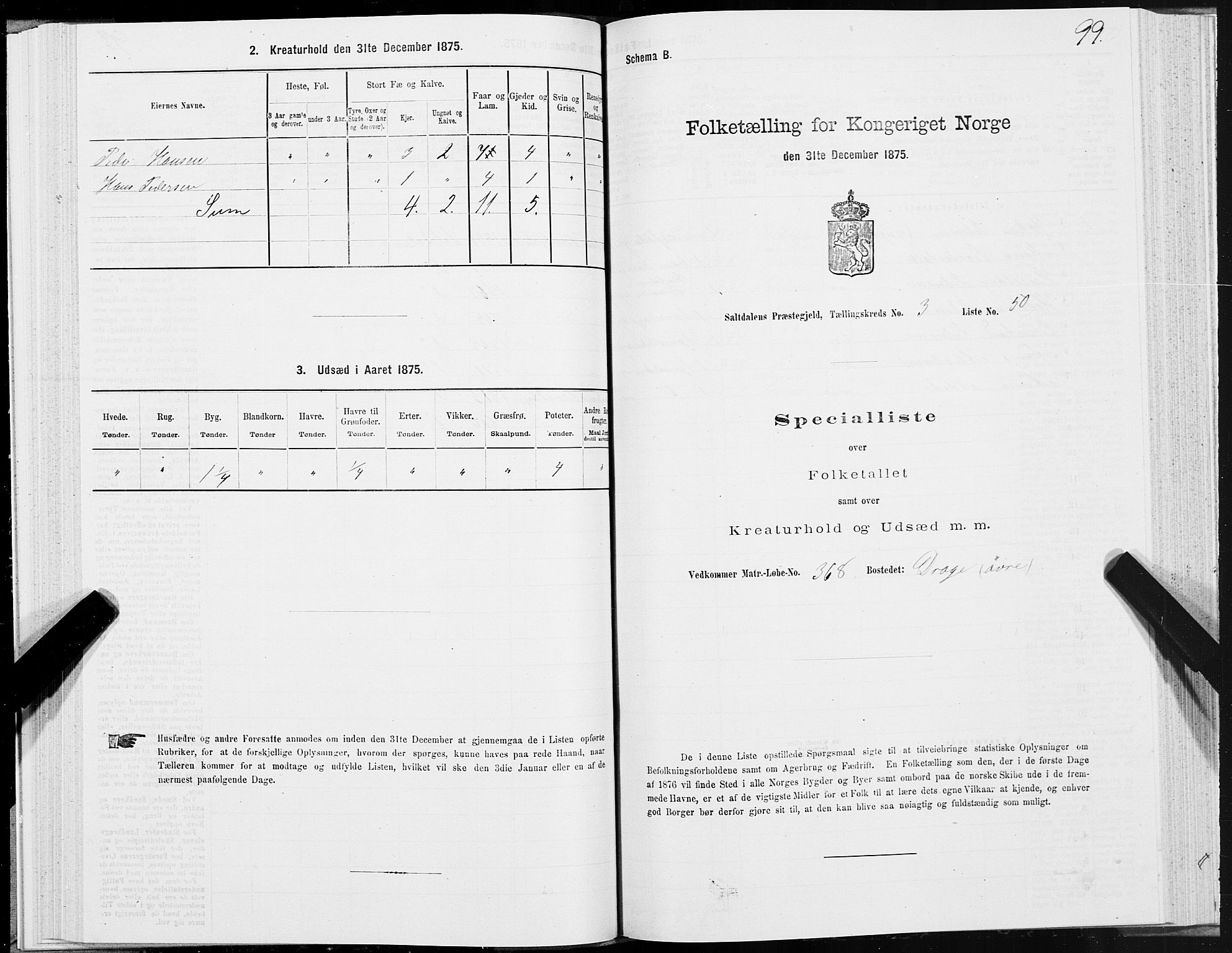 SAT, Folketelling 1875 for 1840P Saltdal prestegjeld, 1875, s. 2099