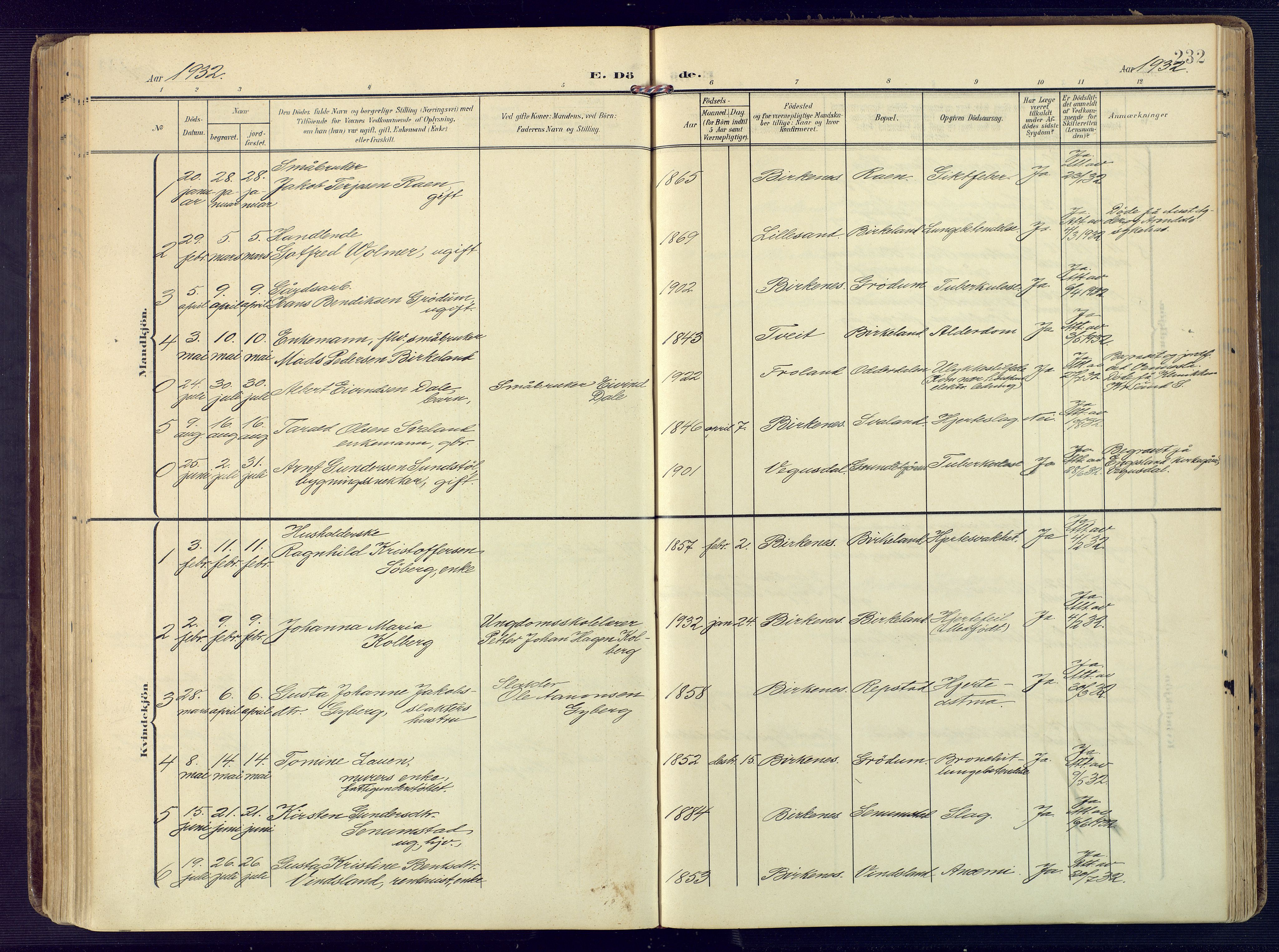 Birkenes sokneprestkontor, AV/SAK-1111-0004/F/Fa/L0006: Ministerialbok nr. A 6, 1908-1932, s. 232