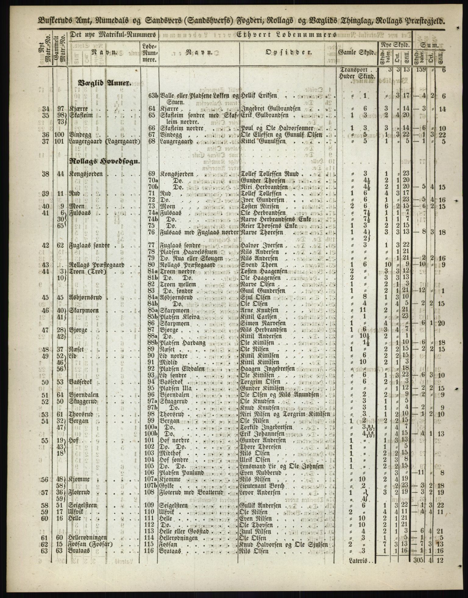 Andre publikasjoner, PUBL/PUBL-999/0002/0005: Bind 5 - Buskerud amt, 1838, s. 141