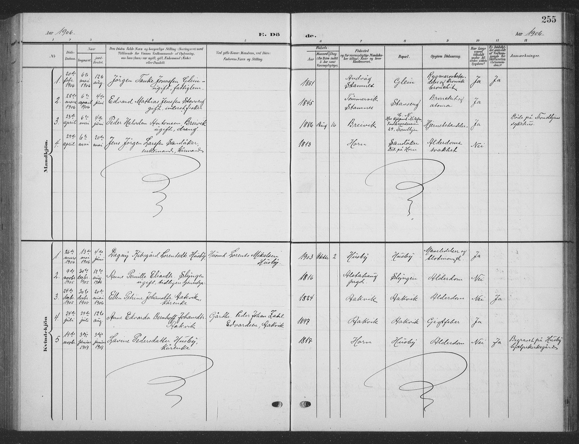 Ministerialprotokoller, klokkerbøker og fødselsregistre - Nordland, AV/SAT-A-1459/835/L0533: Klokkerbok nr. 835C05, 1906-1939, s. 255