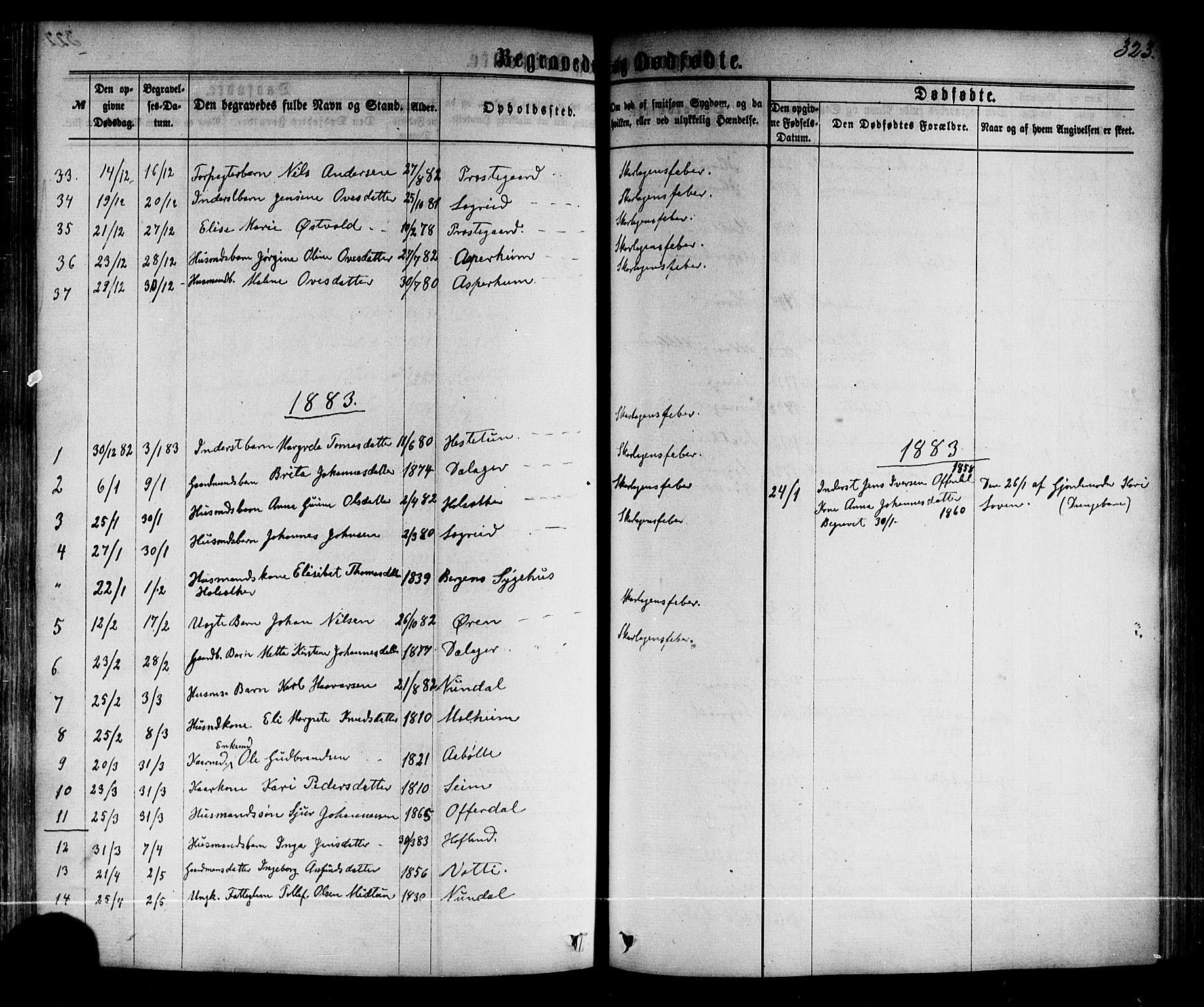 Årdal sokneprestembete, AV/SAB-A-81701: Ministerialbok nr. A 3, 1863-1886, s. 323
