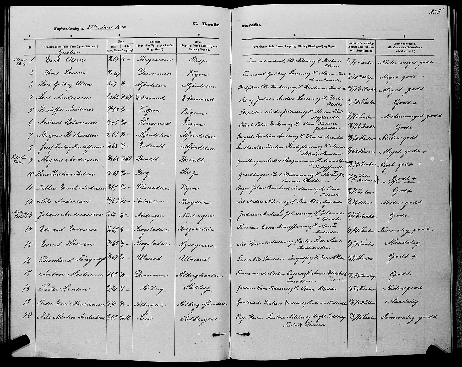 Nedre Eiker kirkebøker, SAKO/A-612/G/Ga/L0002: Klokkerbok nr. 2, 1880-1896, s. 225