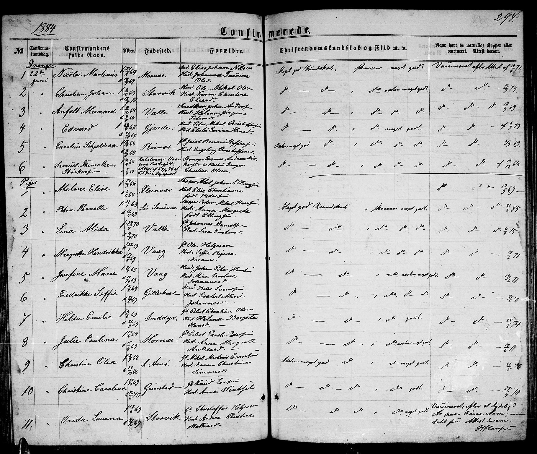 Ministerialprotokoller, klokkerbøker og fødselsregistre - Nordland, AV/SAT-A-1459/805/L0107: Klokkerbok nr. 805C03, 1862-1885, s. 294