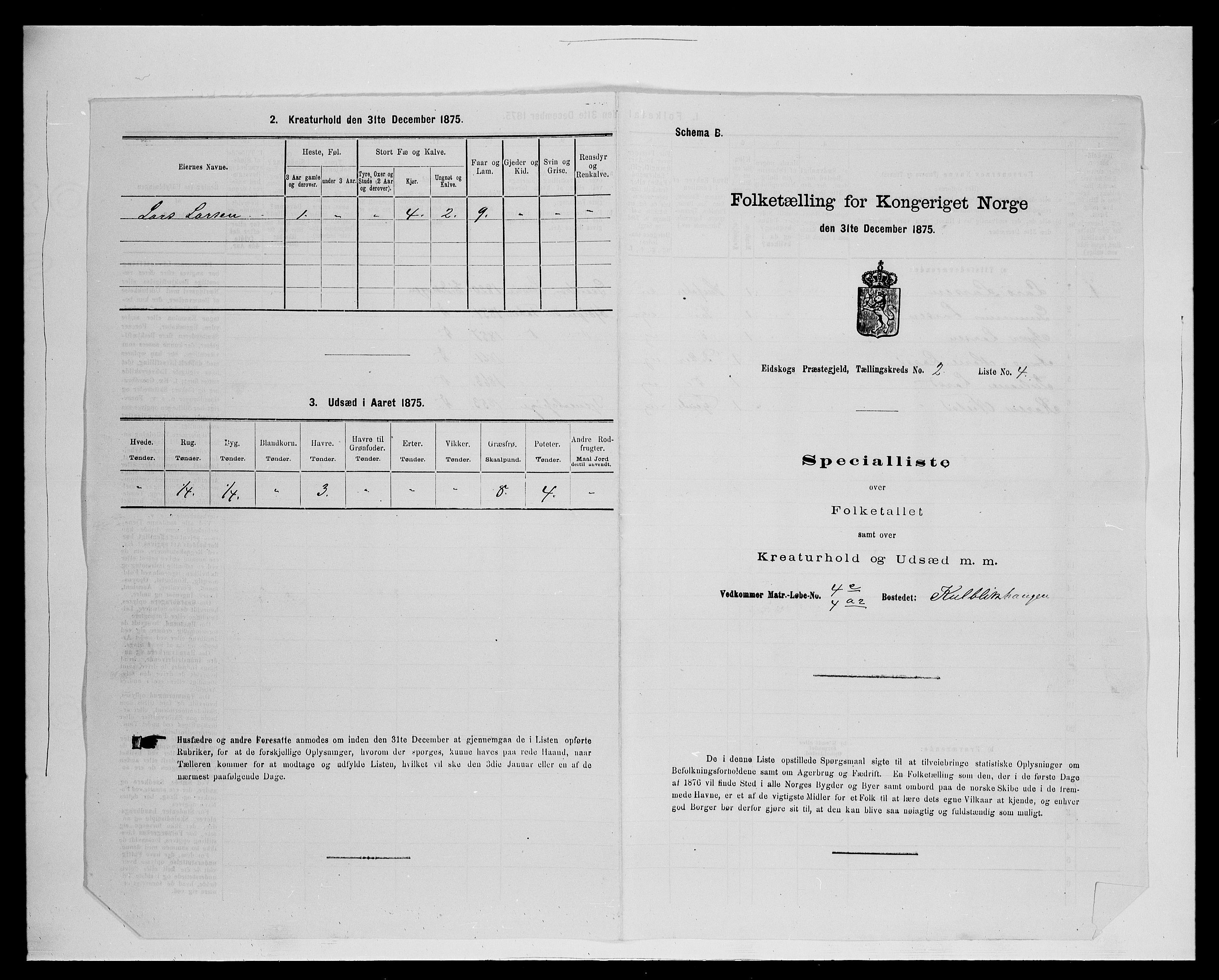 SAH, Folketelling 1875 for 0420P Eidskog prestegjeld, 1875, s. 269