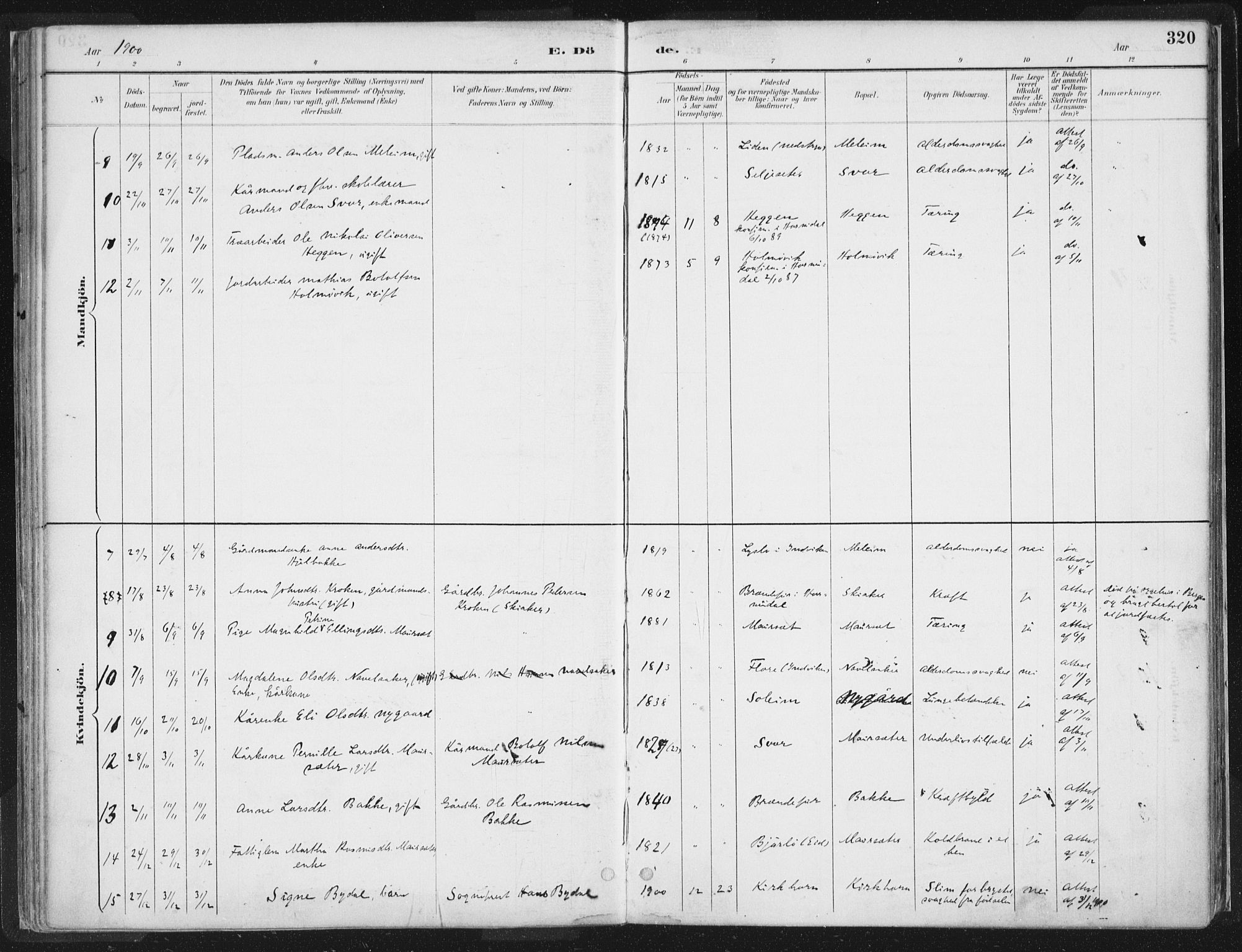 Hornindal sokneprestembete, SAB/A-82401/H/Haa/Haaa/L0003/0002: Ministerialbok nr. A 3B, 1885-1917, s. 320