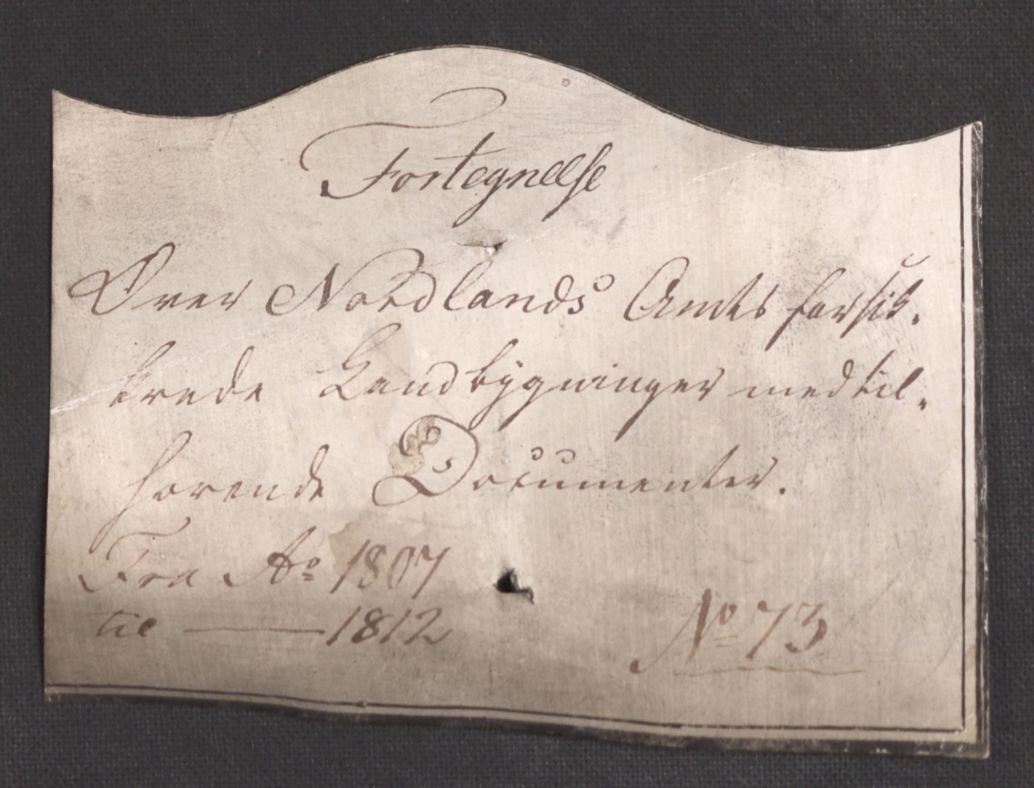 Kommersekollegiet, Brannforsikringskontoret 1767-1814, RA/EA-5458/F/Fb/L0073: Nordlands amt, 1806-1809