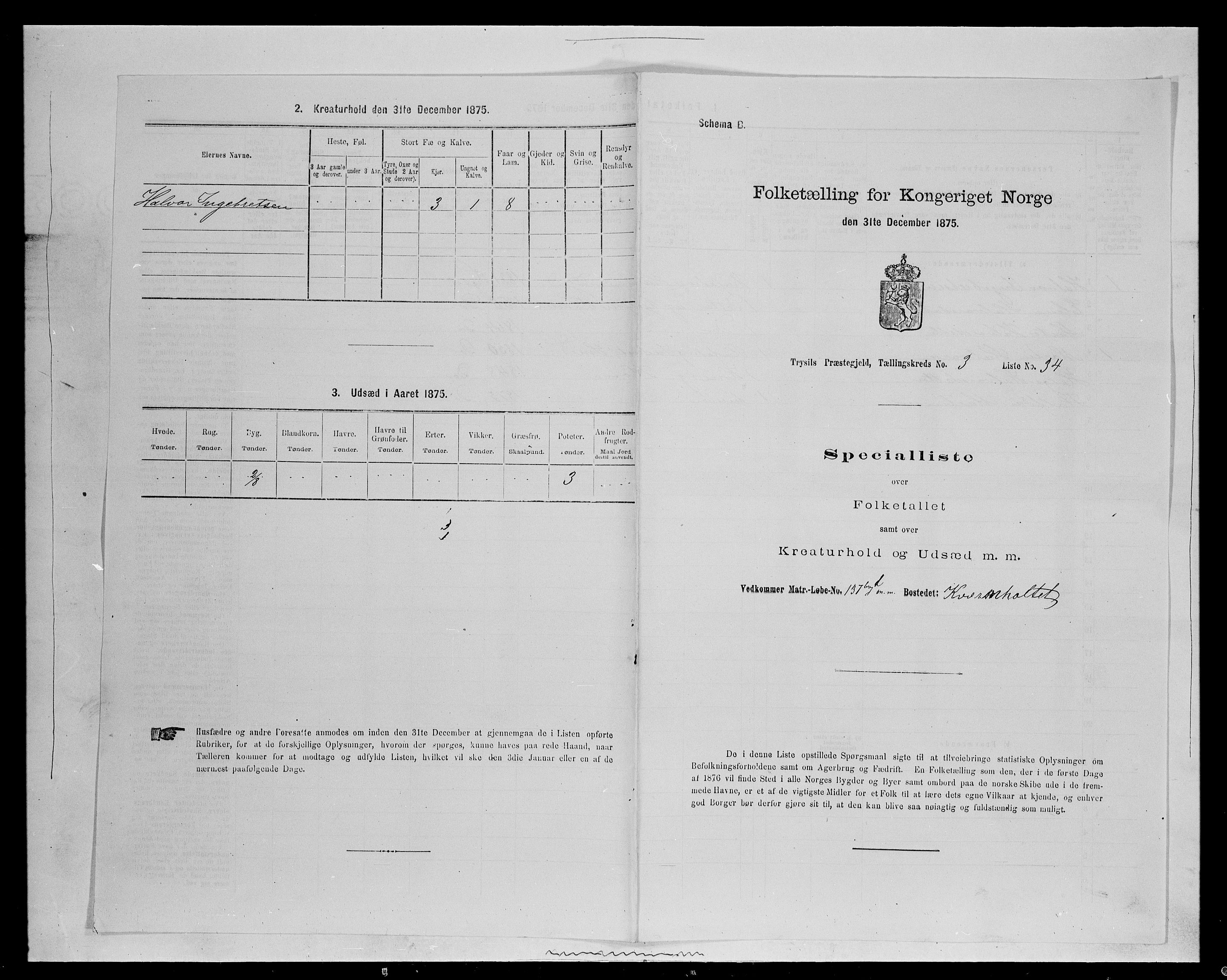 SAH, Folketelling 1875 for 0428P Trysil prestegjeld, 1875, s. 470
