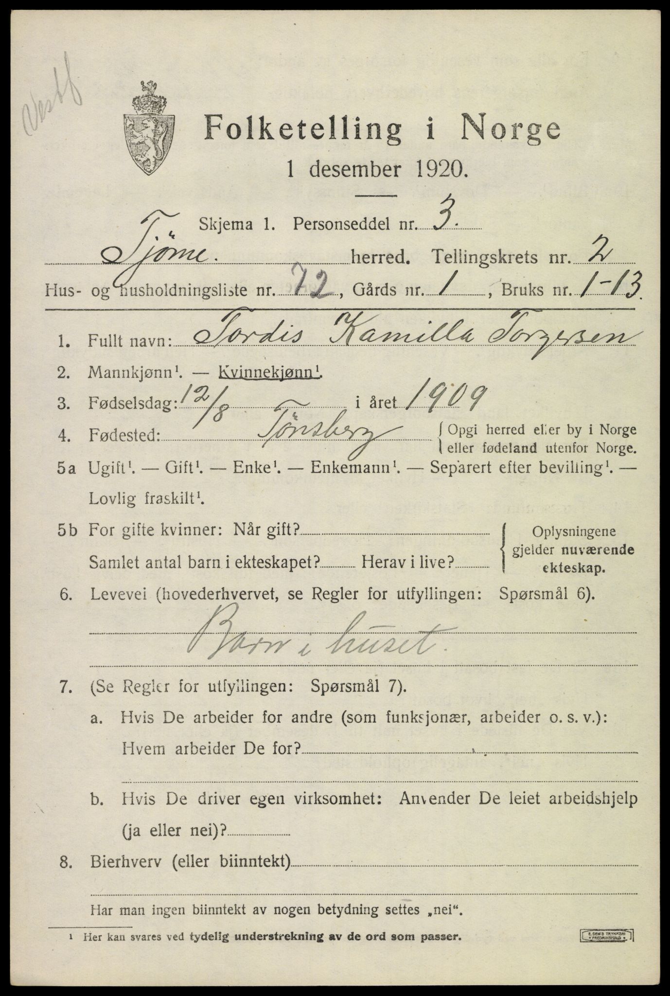 SAKO, Folketelling 1920 for 0723 Tjøme herred, 1920, s. 3451
