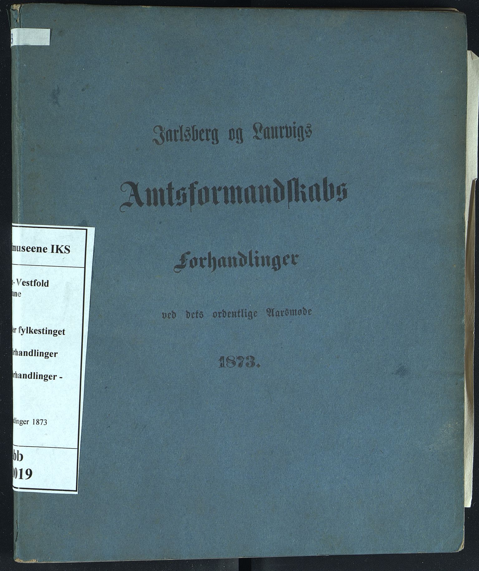 Vestfold fylkeskommune. Fylkestinget, VEMU/A-1315/A/Ab/Abb/L0019: Fylkestingsforhandlinger, 1873
