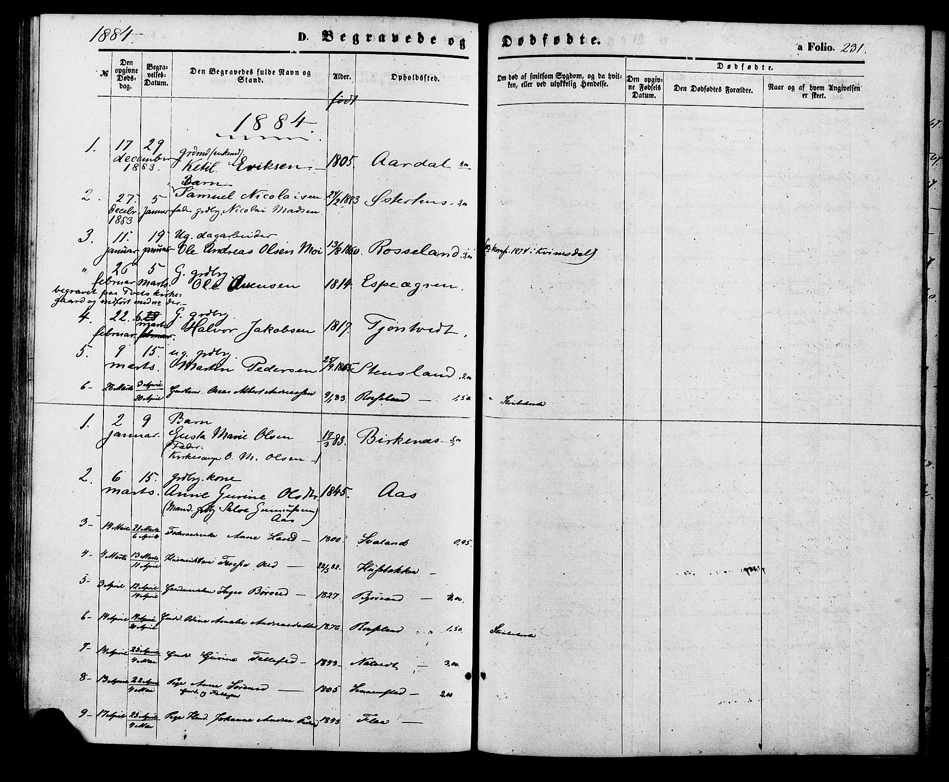 Birkenes sokneprestkontor, SAK/1111-0004/F/Fa/L0004: Ministerialbok nr. A 4, 1867-1886, s. 231