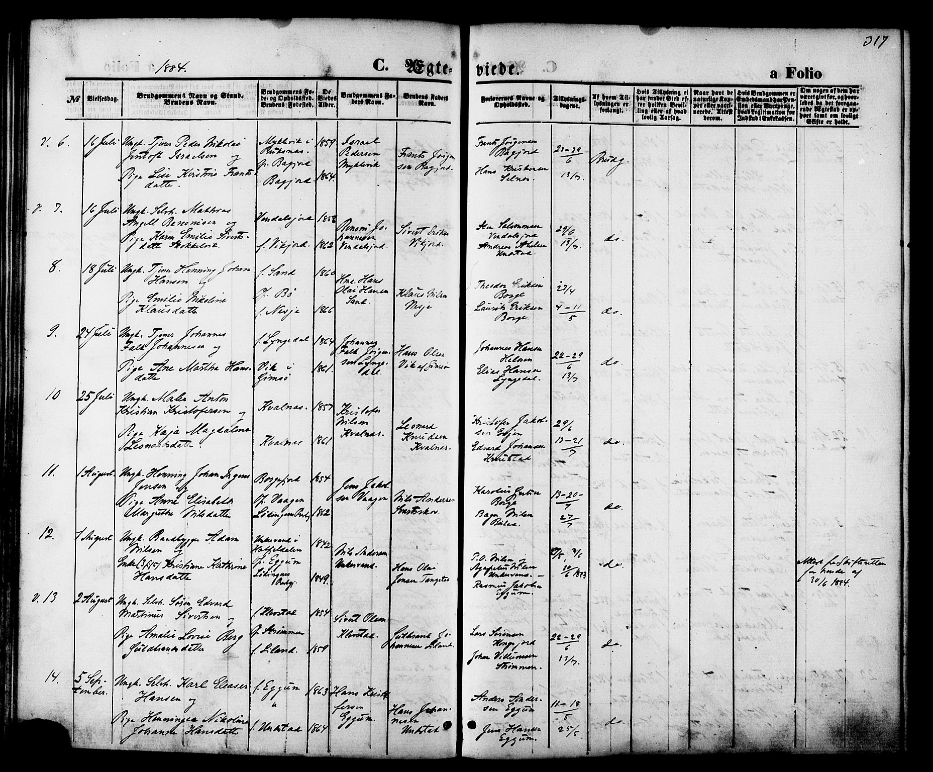 Ministerialprotokoller, klokkerbøker og fødselsregistre - Nordland, SAT/A-1459/880/L1132: Ministerialbok nr. 880A06, 1869-1887, s. 317