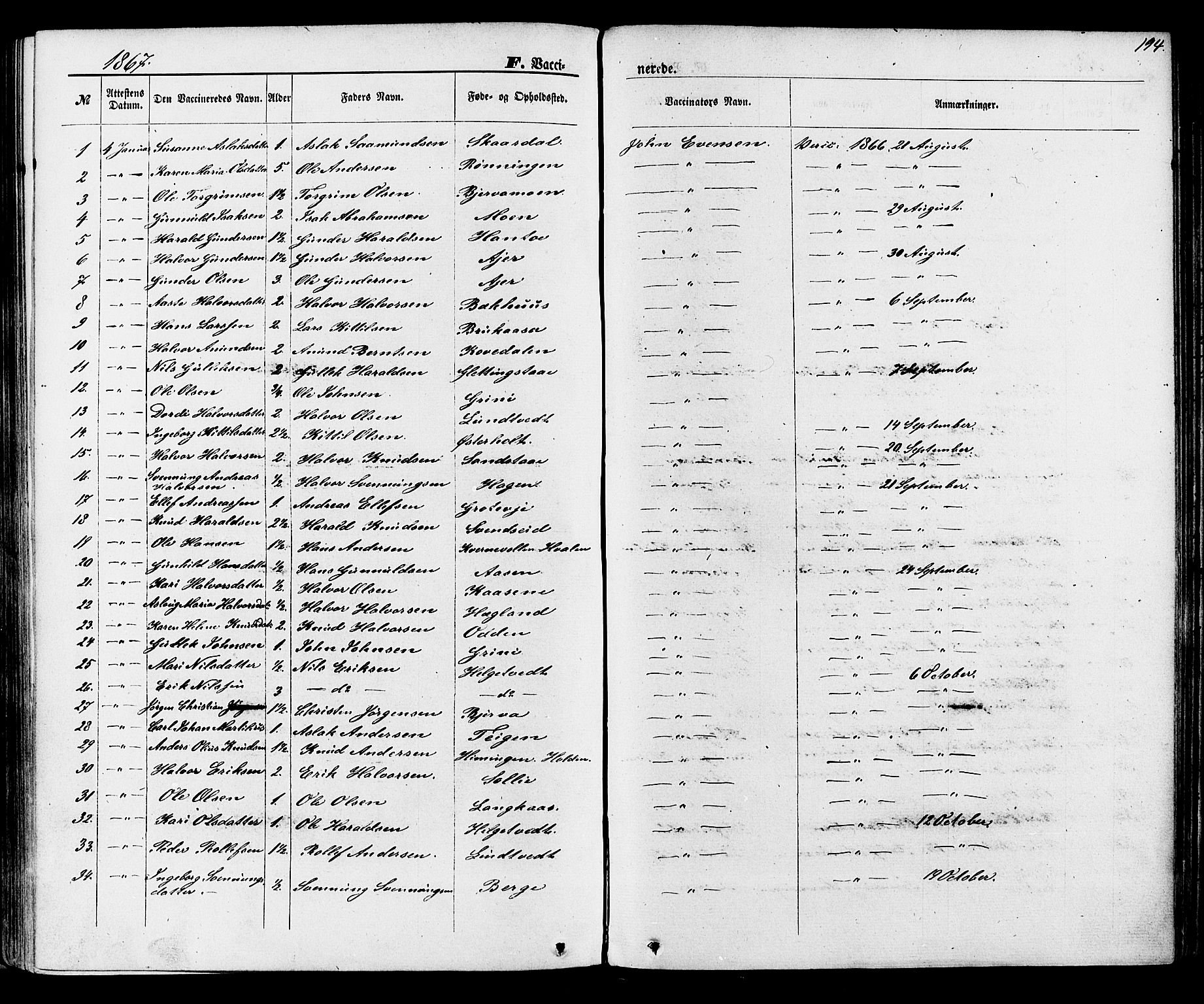 Lunde kirkebøker, AV/SAKO-A-282/F/Fa/L0001: Ministerialbok nr. I 1, 1866-1883, s. 194
