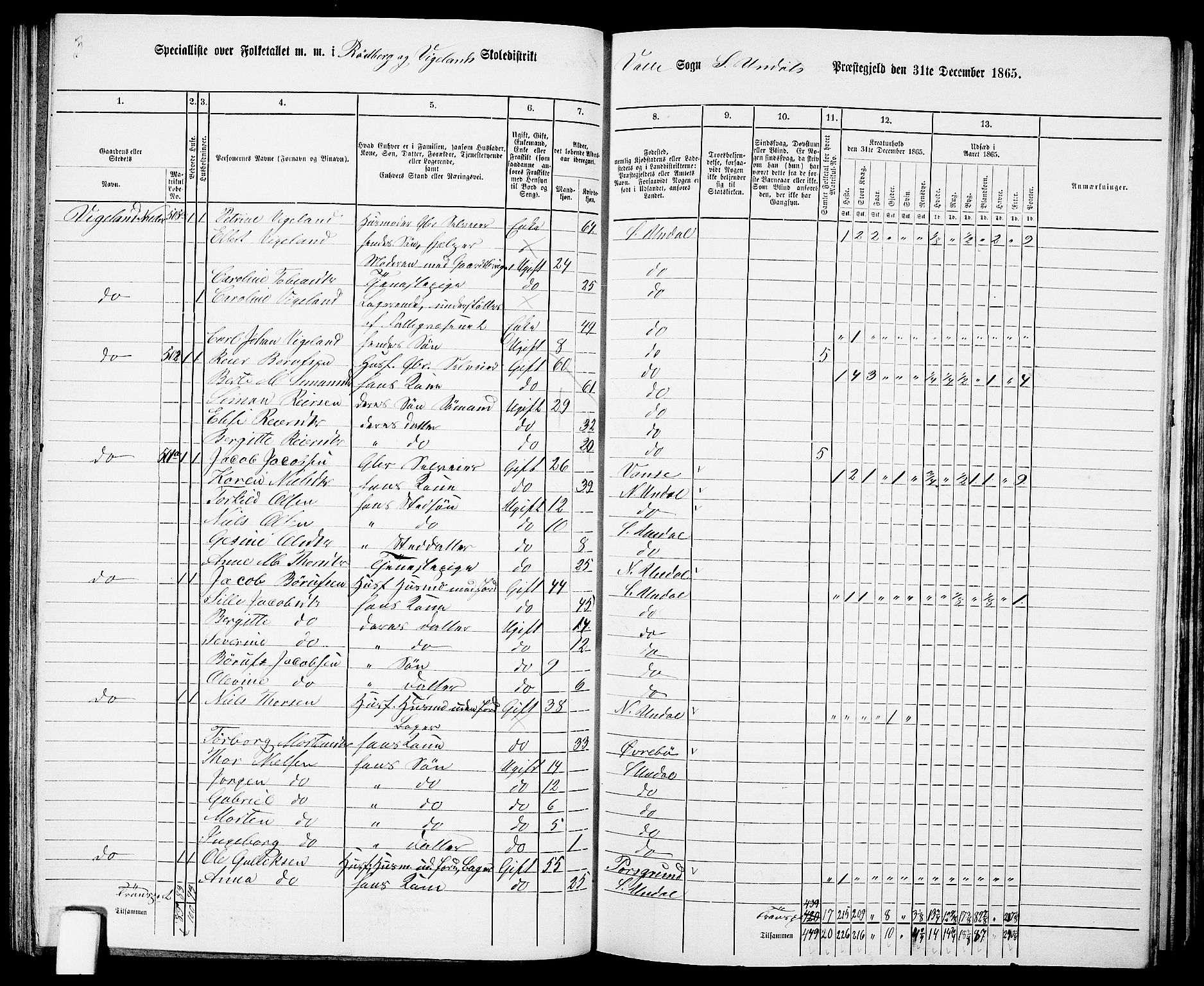 RA, Folketelling 1865 for 1029P Sør-Audnedal prestegjeld, 1865, s. 96