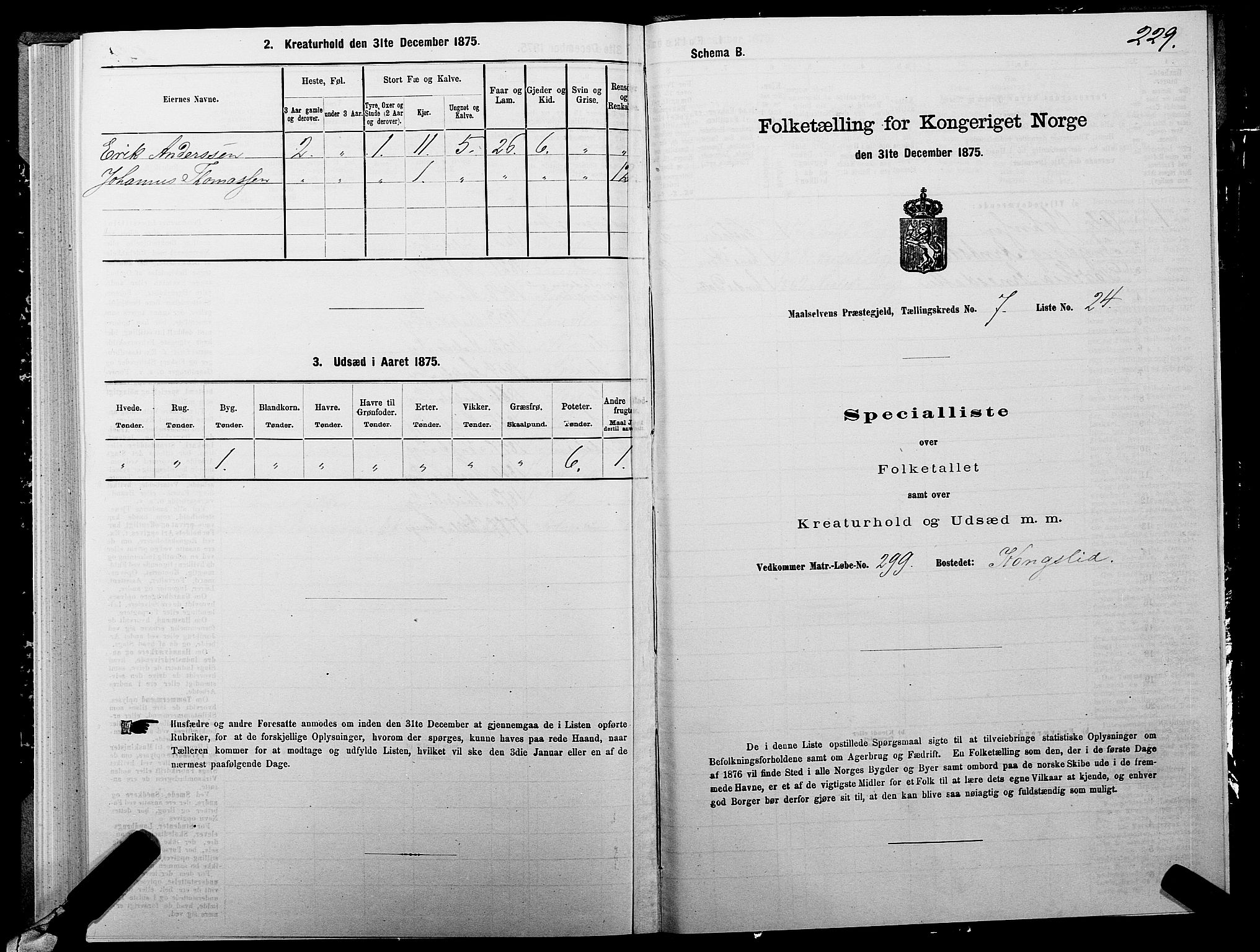 SATØ, Folketelling 1875 for 1924P Målselv prestegjeld, 1875, s. 3229