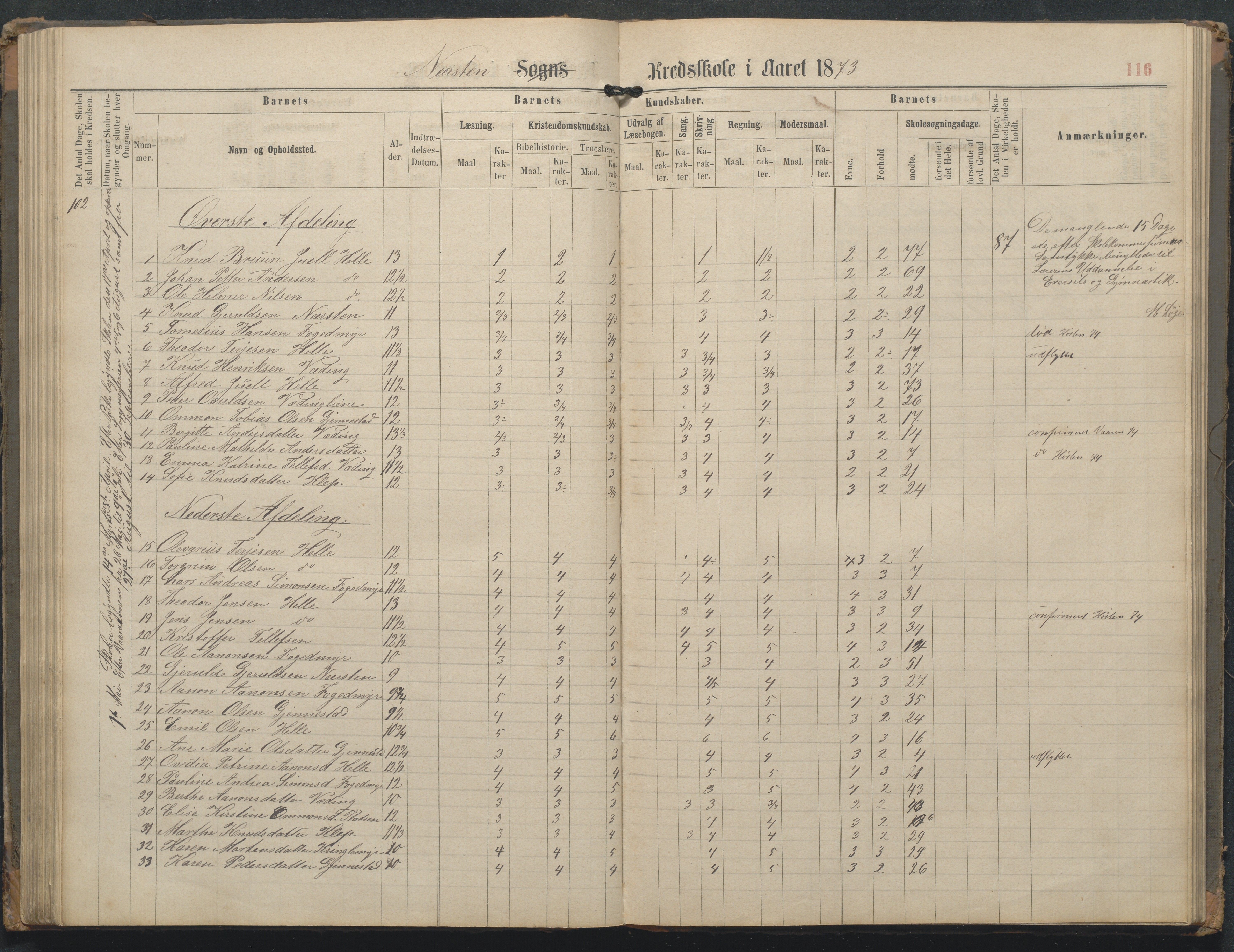 Øyestad kommune frem til 1979, AAKS/KA0920-PK/06/06L/L0002: Skoleprotokoll, 1863-1899, s. 117