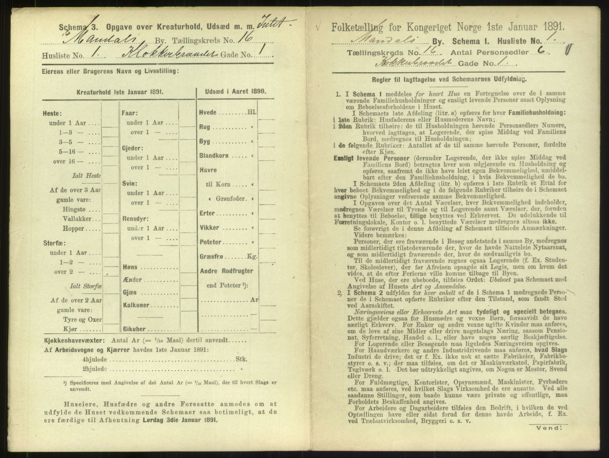 RA, Folketelling 1891 for 1002 Mandal ladested, 1891, s. 735