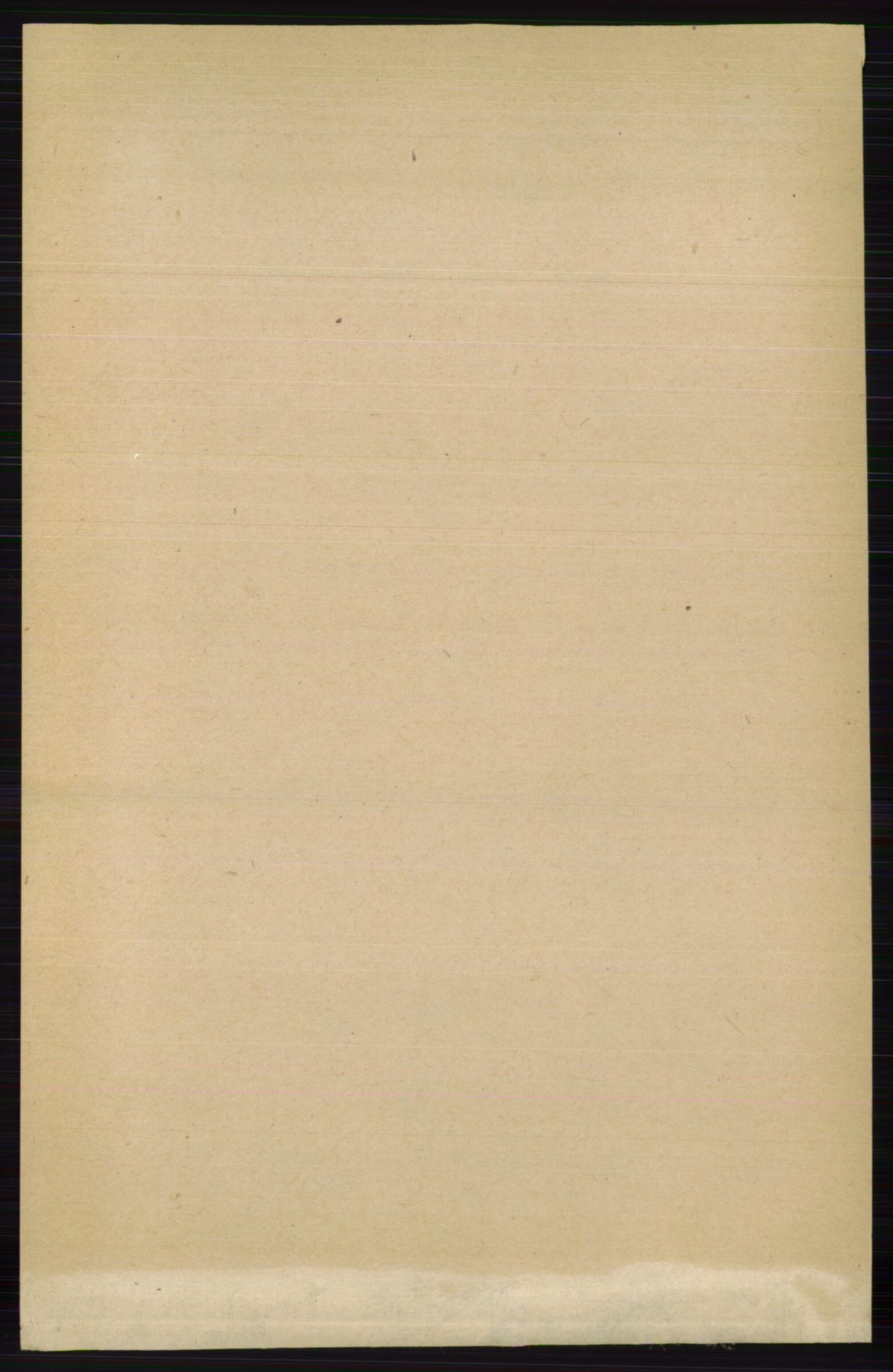 RA, Folketelling 1891 for 0437 Tynset herred, 1891, s. 3198