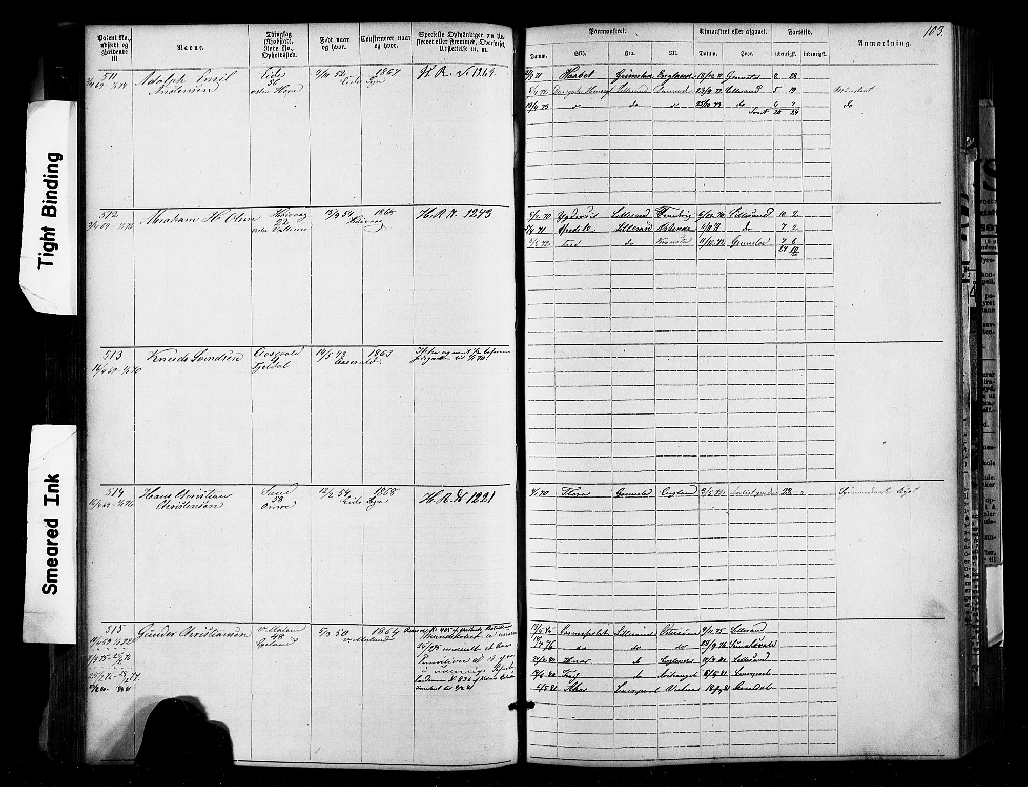 Lillesand mønstringskrets, SAK/2031-0014/F/Fa/L0002: Annotasjonsrulle nr 1-1910 med register, W-8, 1868-1891, s. 106