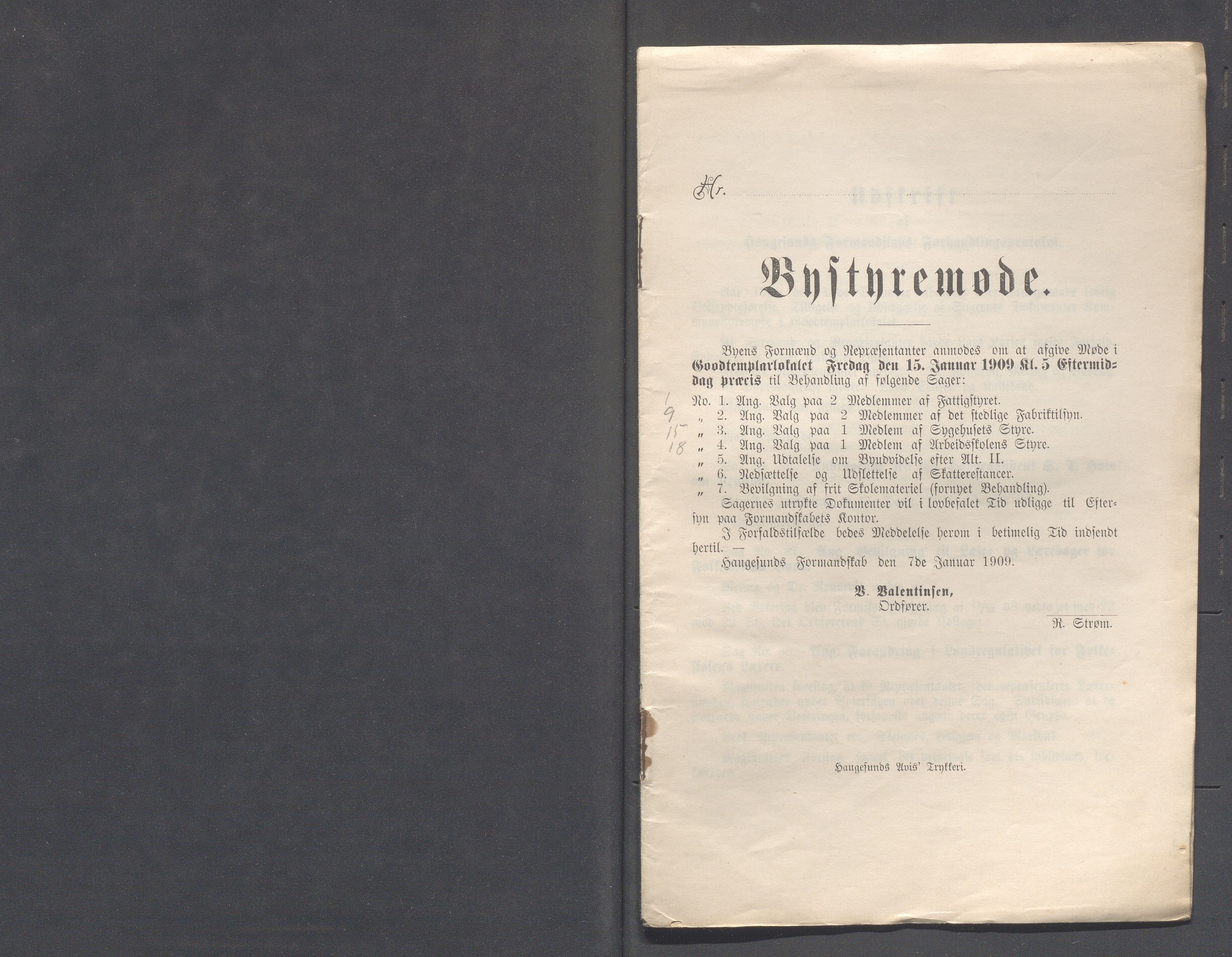 Haugesund kommune - Formannskapet og Bystyret, IKAR/A-740/A/Abb/L0002: Bystyreforhandlinger, 1908-1917, s. 196