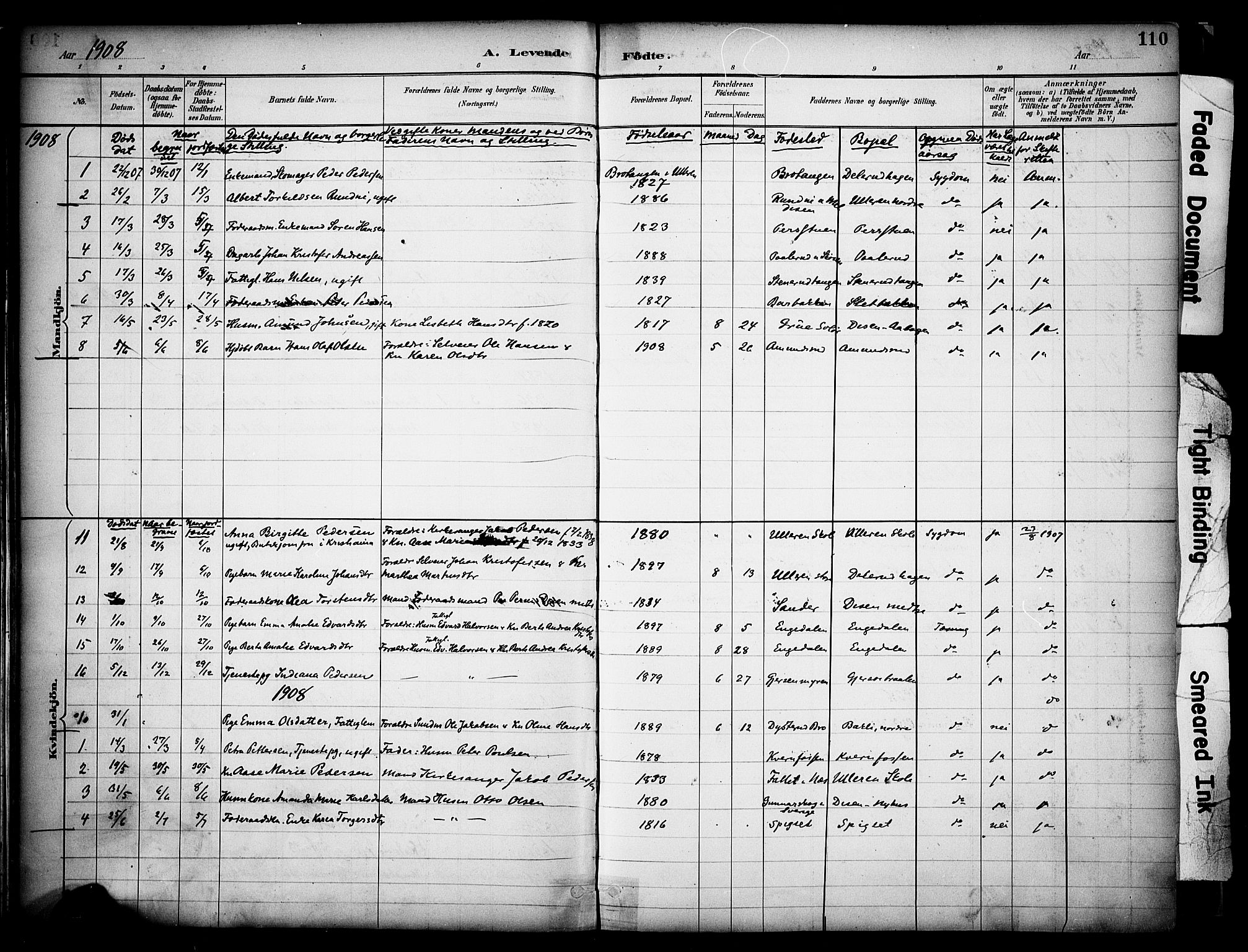 Sør-Odal prestekontor, SAH/PREST-030/H/Ha/Haa/L0008: Ministerialbok nr. 8, 1886-1922, s. 110