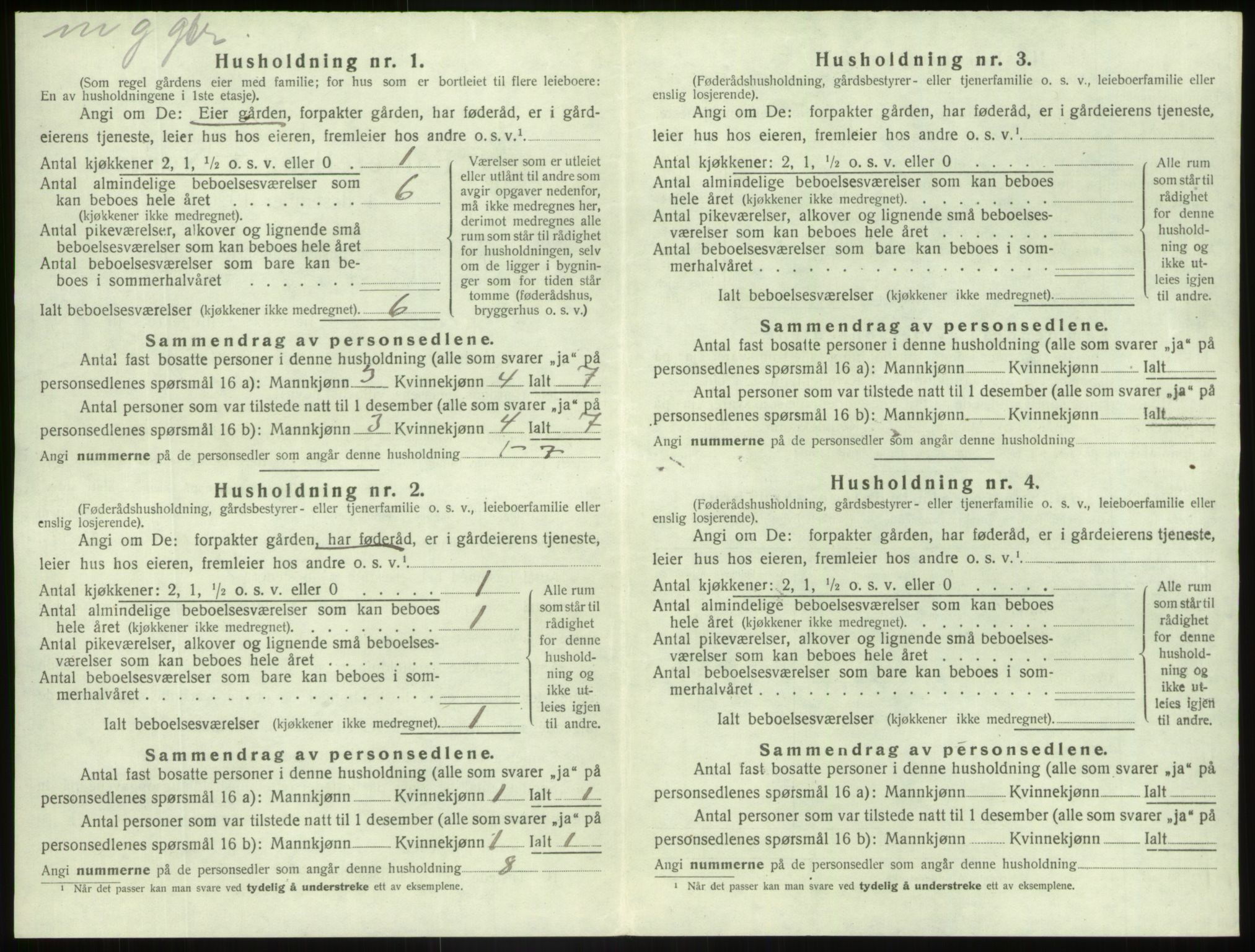 SAB, Folketelling 1920 for 1426 Luster herred, 1920, s. 246