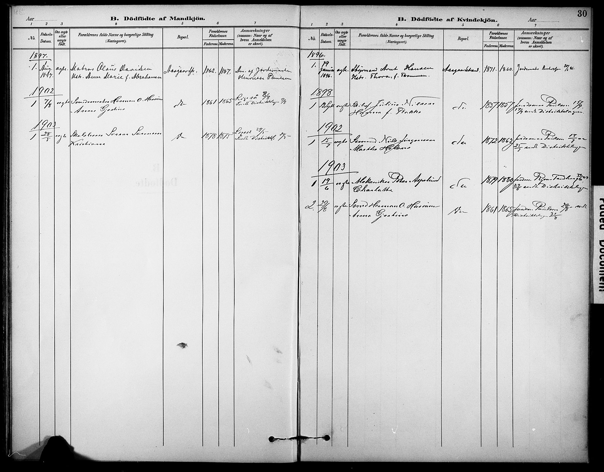Borre kirkebøker, AV/SAKO-A-338/F/Fb/L0002: Ministerialbok nr. II 2, 1893-1905, s. 30