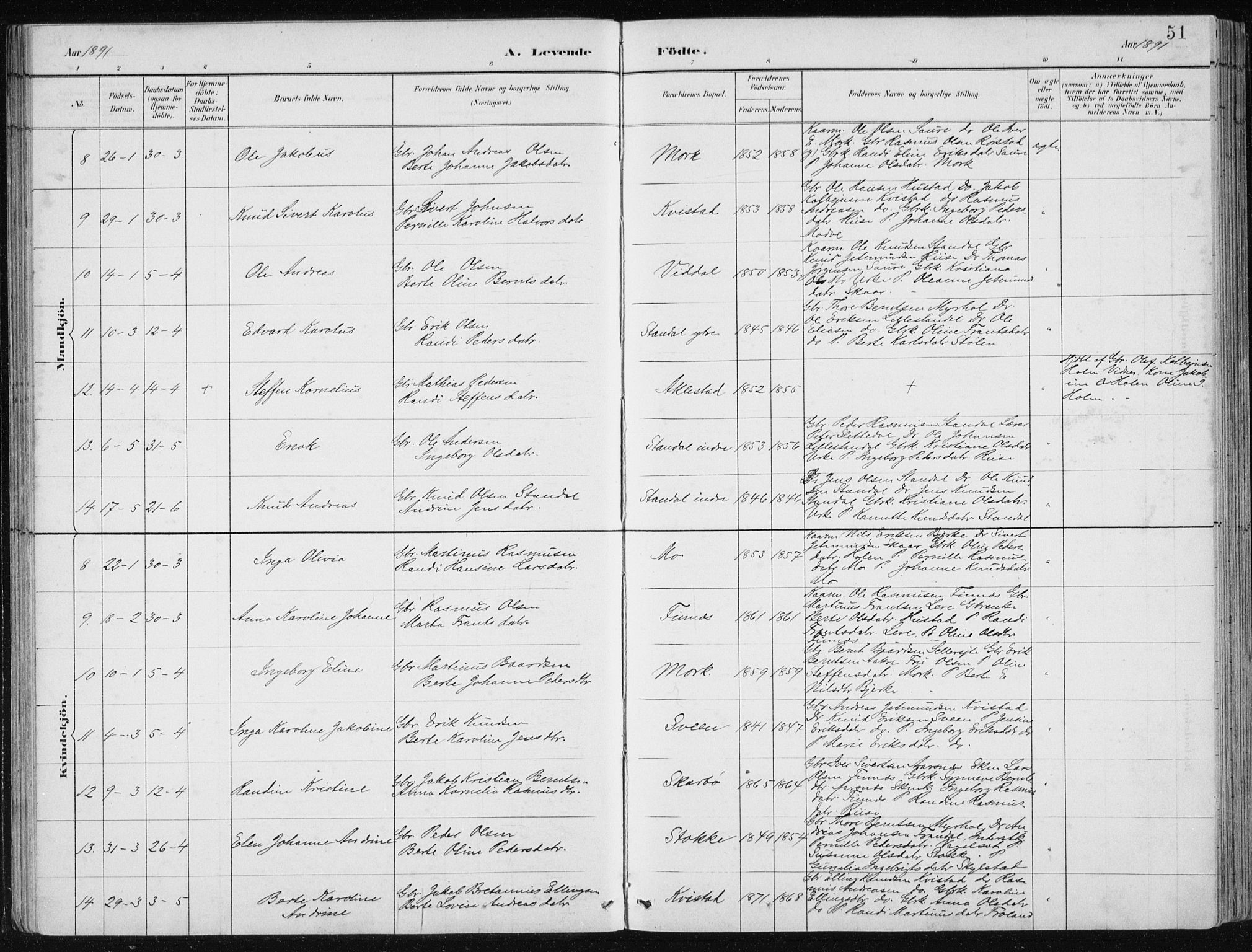 Ministerialprotokoller, klokkerbøker og fødselsregistre - Møre og Romsdal, AV/SAT-A-1454/515/L0215: Klokkerbok nr. 515C02, 1884-1906, s. 51