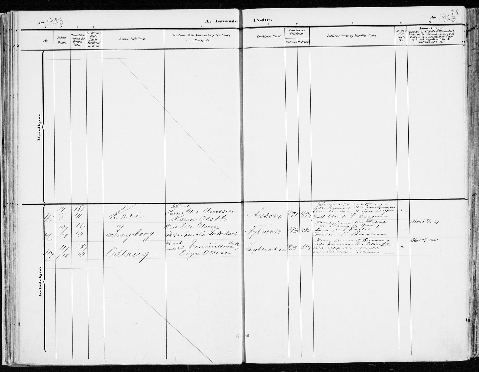 Nord-Odal prestekontor, AV/SAH-PREST-032/H/Ha/Haa/L0009: Ministerialbok nr. 9, 1902-1926, s. 74