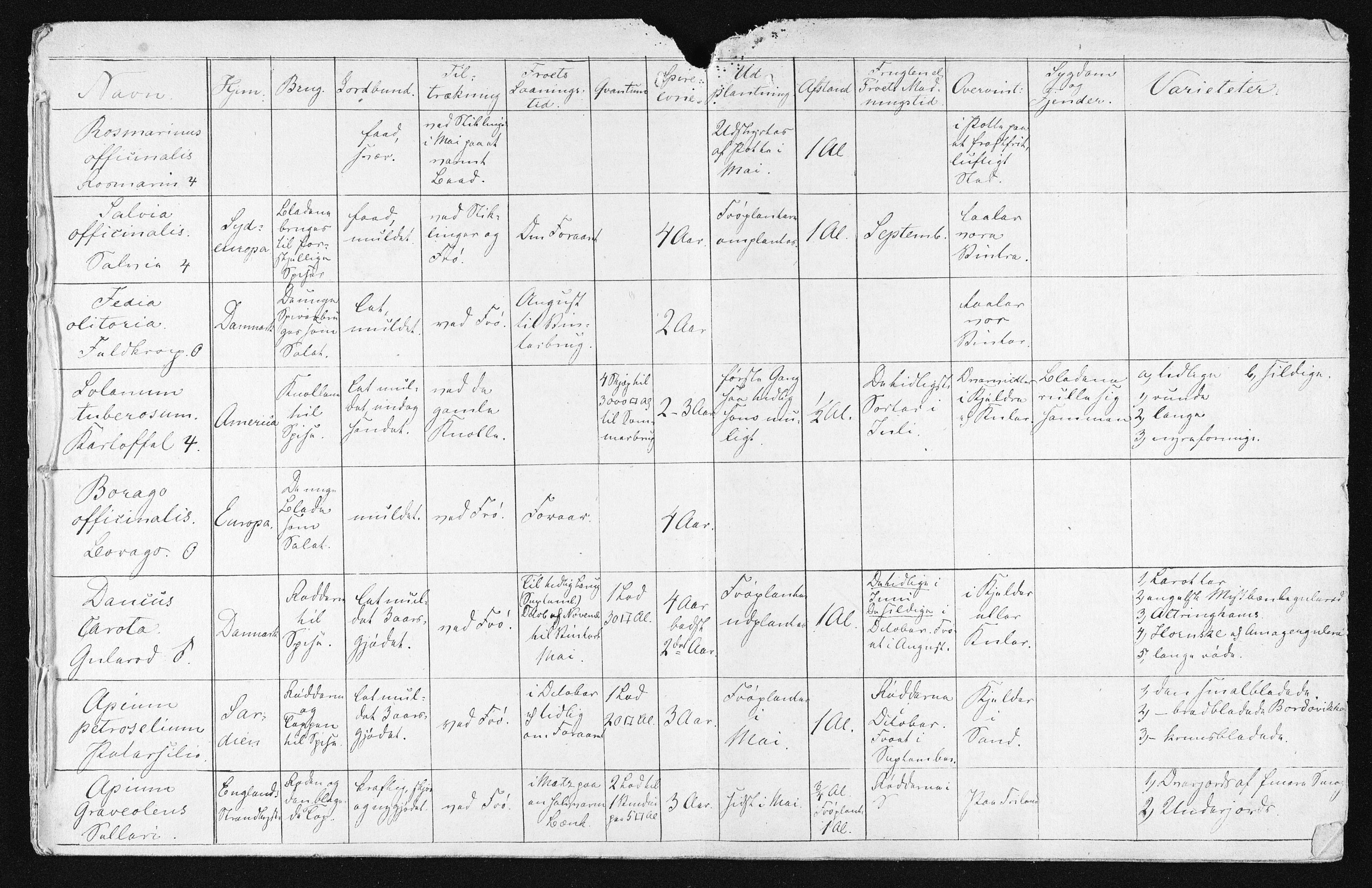 Familien Aalls privatarkiv , NESJ/NJM-005/E-00003/L0001/0001/0010: Dag- og notatbøker / Dølner bokpakke 001, 1878-1909