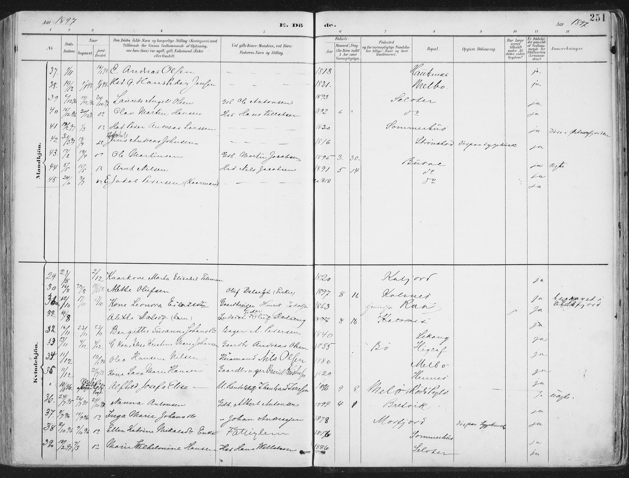 Ministerialprotokoller, klokkerbøker og fødselsregistre - Nordland, AV/SAT-A-1459/888/L1246: Ministerialbok nr. 888A12, 1891-1903, s. 251