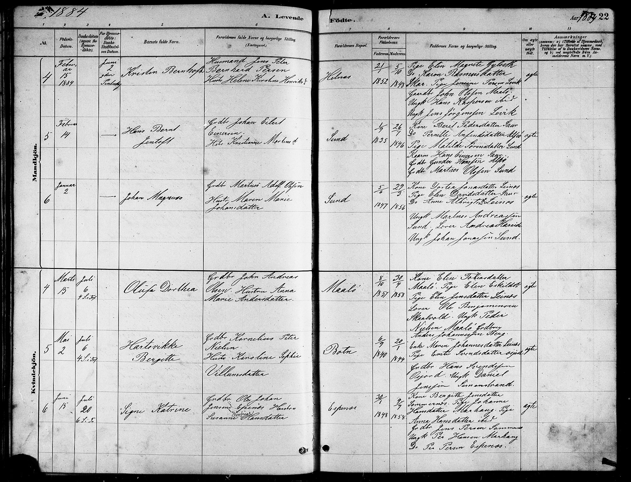 Ministerialprotokoller, klokkerbøker og fødselsregistre - Nordland, AV/SAT-A-1459/857/L0828: Klokkerbok nr. 857C03, 1879-1908, s. 22