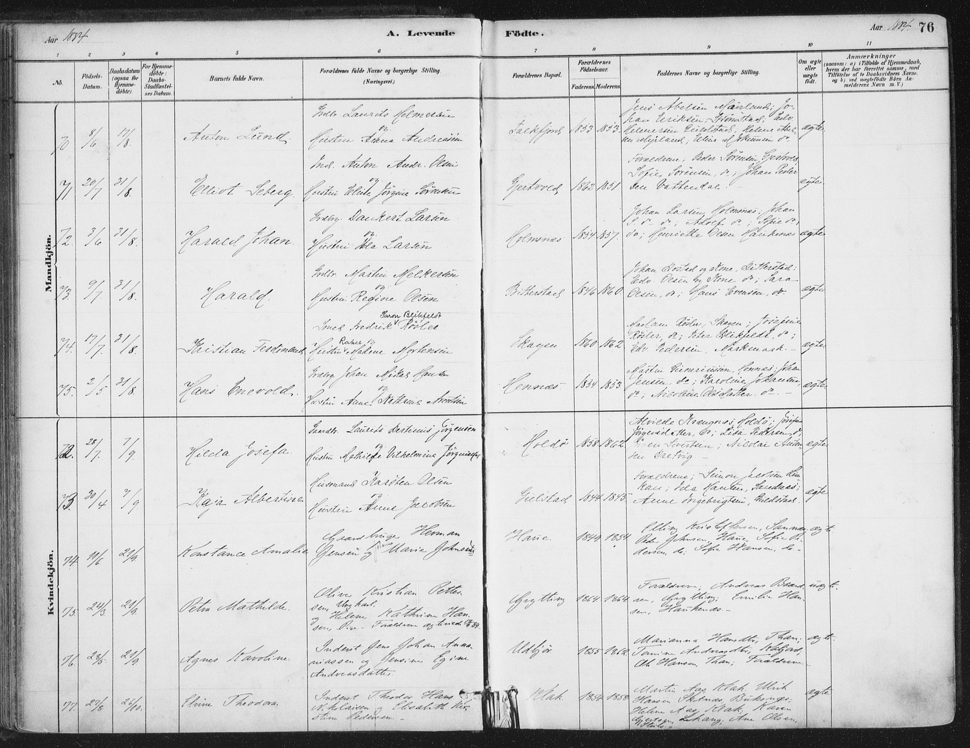 Ministerialprotokoller, klokkerbøker og fødselsregistre - Nordland, AV/SAT-A-1459/888/L1244: Ministerialbok nr. 888A10, 1880-1890, s. 76