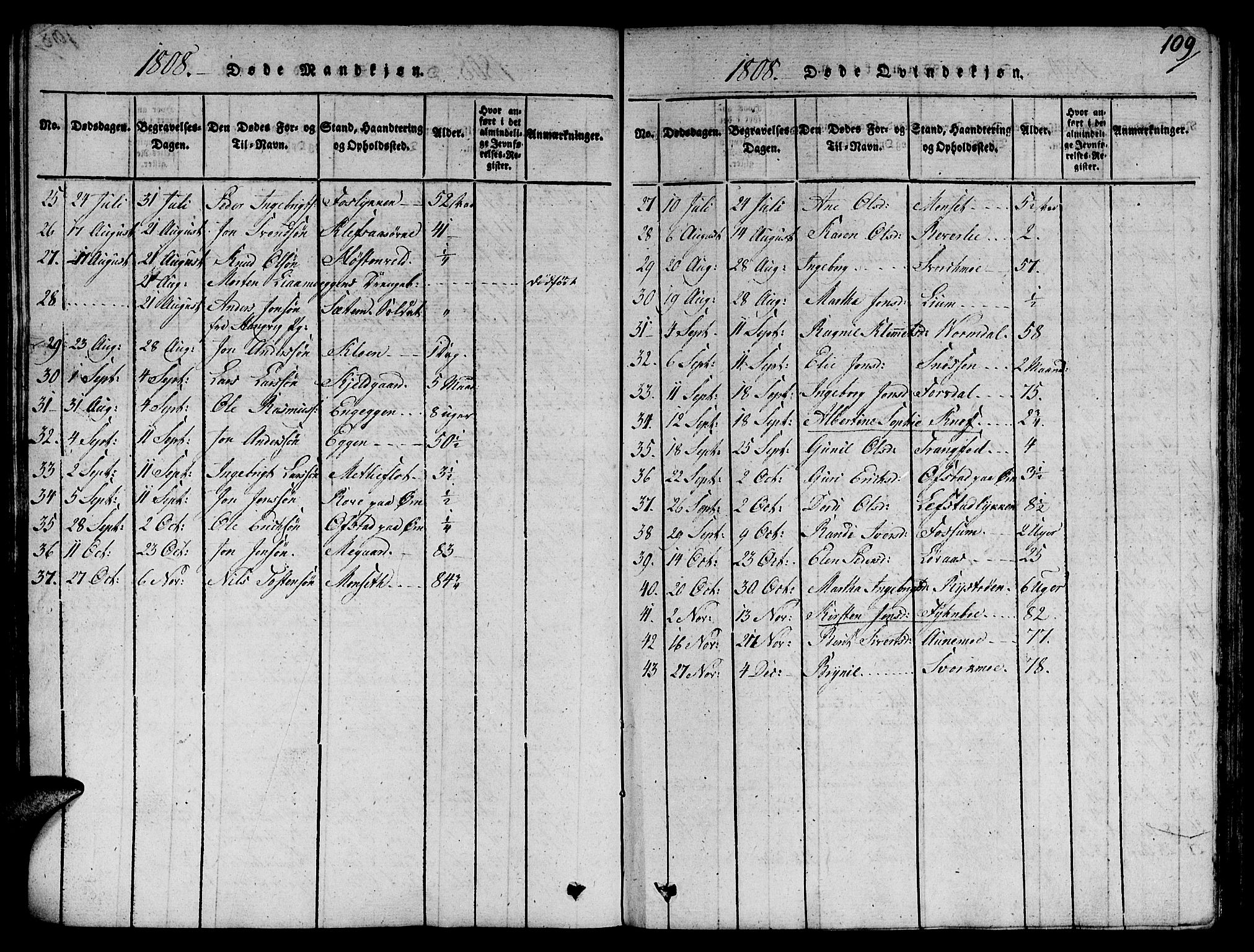 Ministerialprotokoller, klokkerbøker og fødselsregistre - Sør-Trøndelag, SAT/A-1456/668/L0803: Ministerialbok nr. 668A03, 1800-1826, s. 109