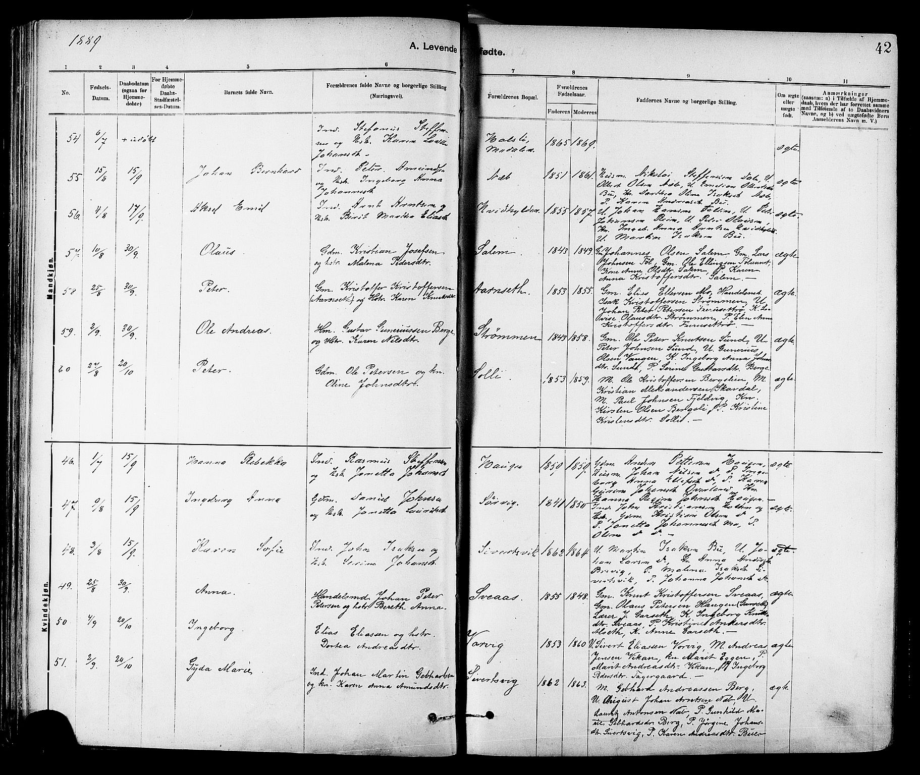 Ministerialprotokoller, klokkerbøker og fødselsregistre - Sør-Trøndelag, SAT/A-1456/647/L0634: Ministerialbok nr. 647A01, 1885-1896, s. 42