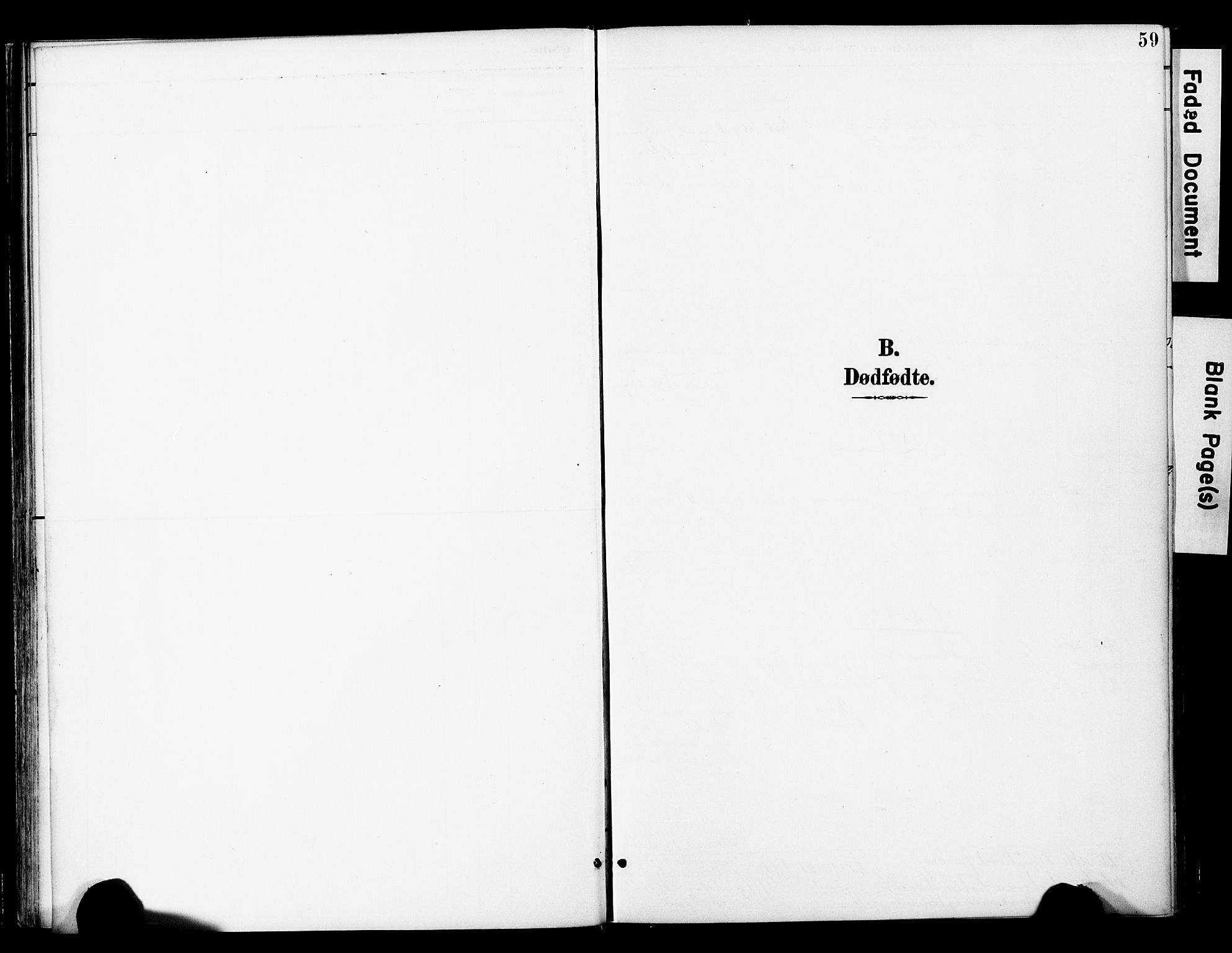 Ministerialprotokoller, klokkerbøker og fødselsregistre - Nord-Trøndelag, AV/SAT-A-1458/742/L0409: Ministerialbok nr. 742A02, 1891-1905, s. 59