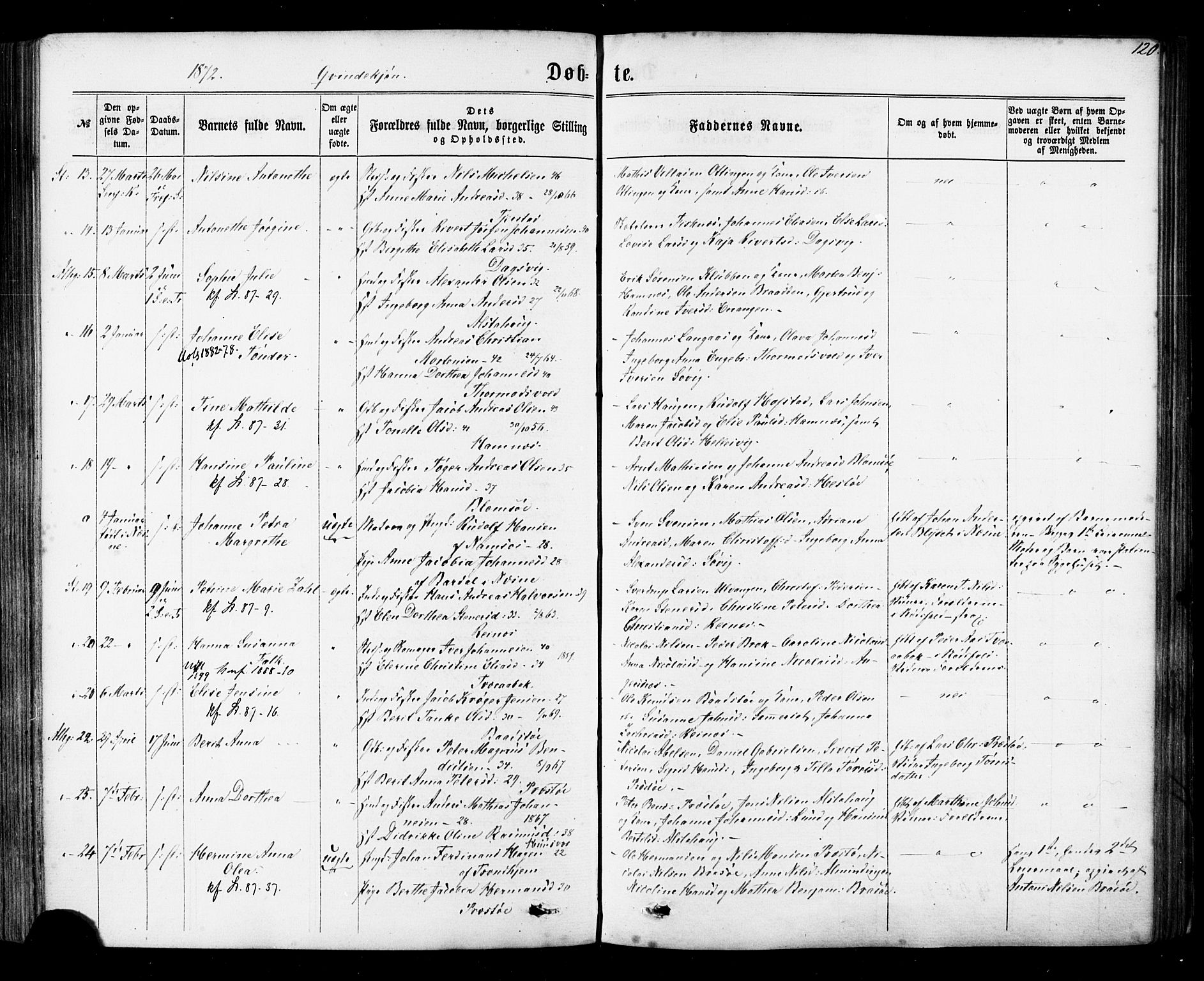 Ministerialprotokoller, klokkerbøker og fødselsregistre - Nordland, AV/SAT-A-1459/830/L0449: Ministerialbok nr. 830A13, 1866-1886, s. 120