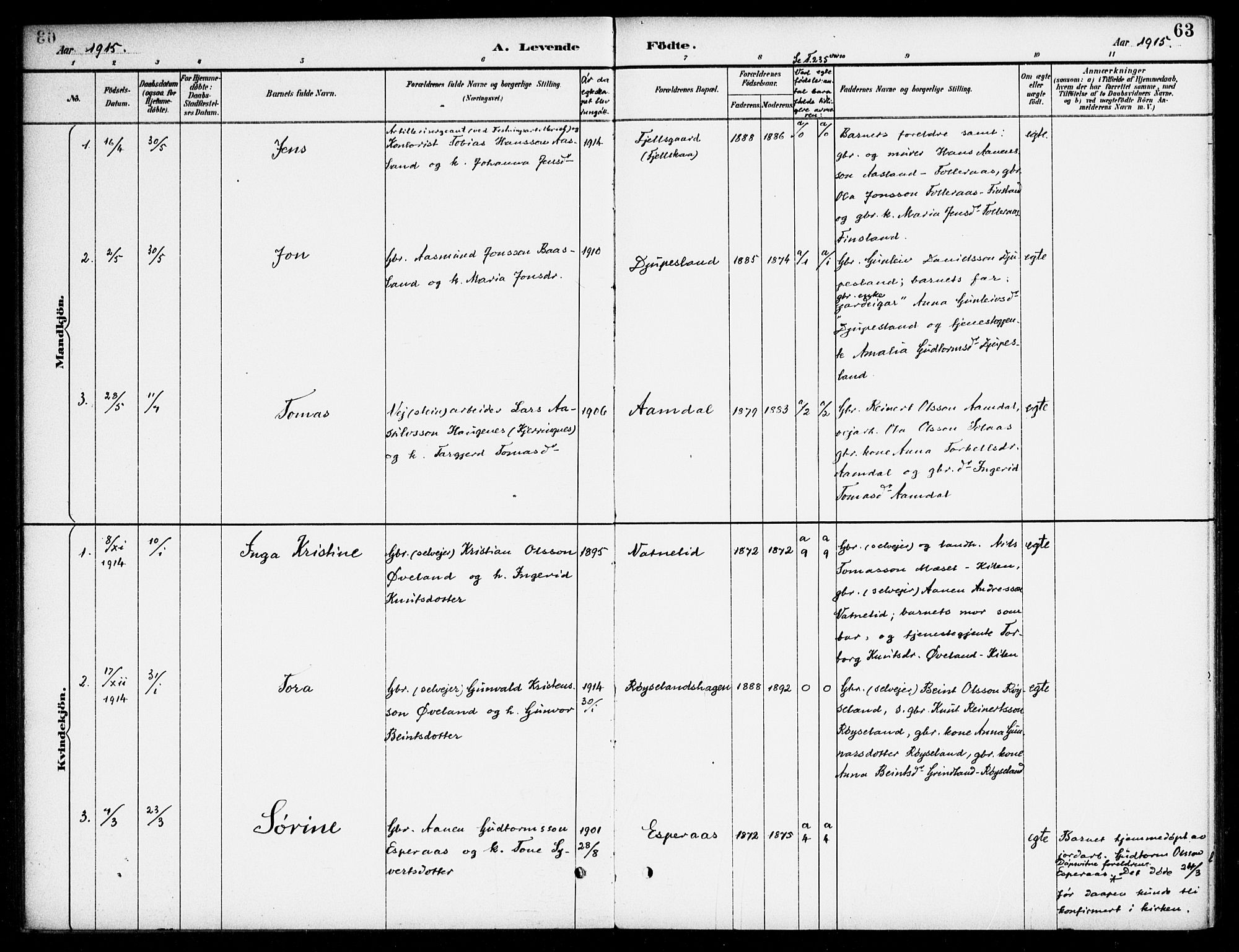Bjelland sokneprestkontor, AV/SAK-1111-0005/F/Fa/Fab/L0004: Ministerialbok nr. A 4, 1887-1920, s. 63