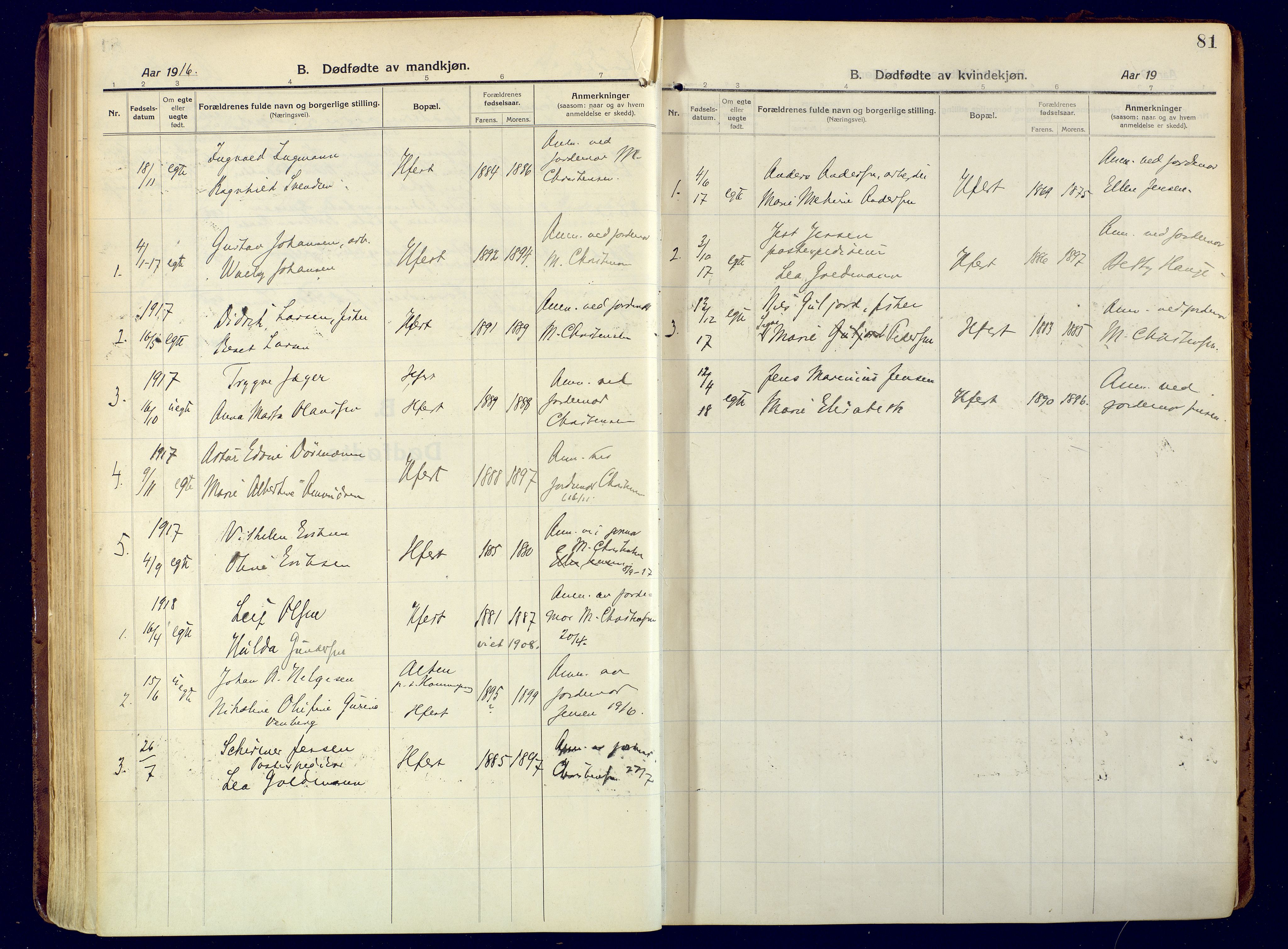 Hammerfest sokneprestkontor, AV/SATØ-S-1347/H/Ha/L0015.kirke: Ministerialbok nr. 15, 1916-1923, s. 81