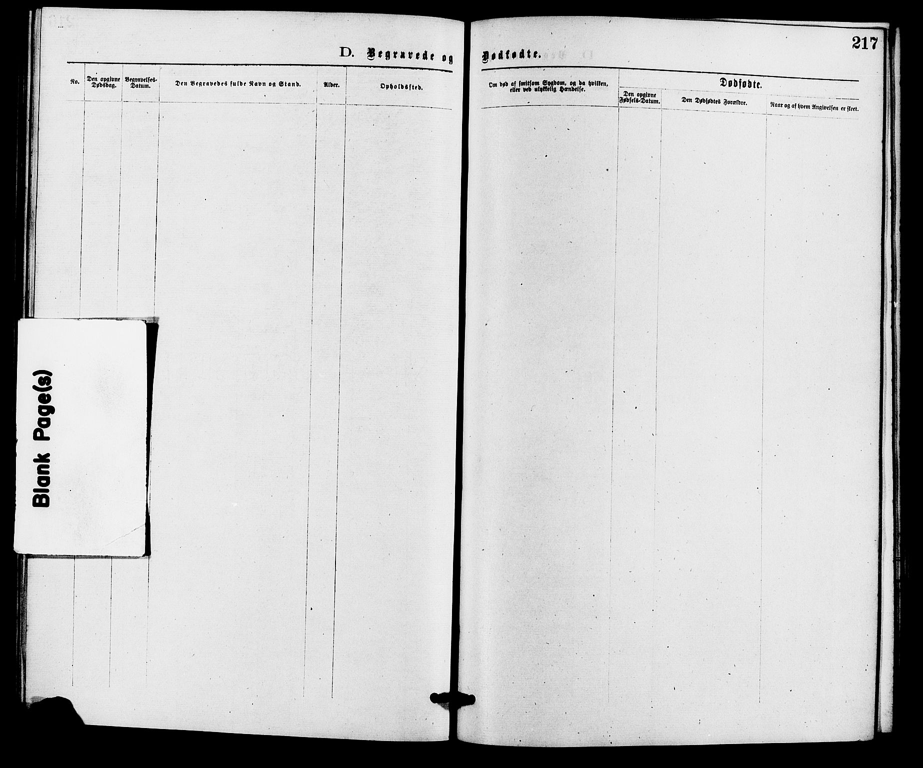 Holum sokneprestkontor, SAK/1111-0022/F/Fa/Fab/L0006: Ministerialbok nr. A 6, 1875-1886, s. 217