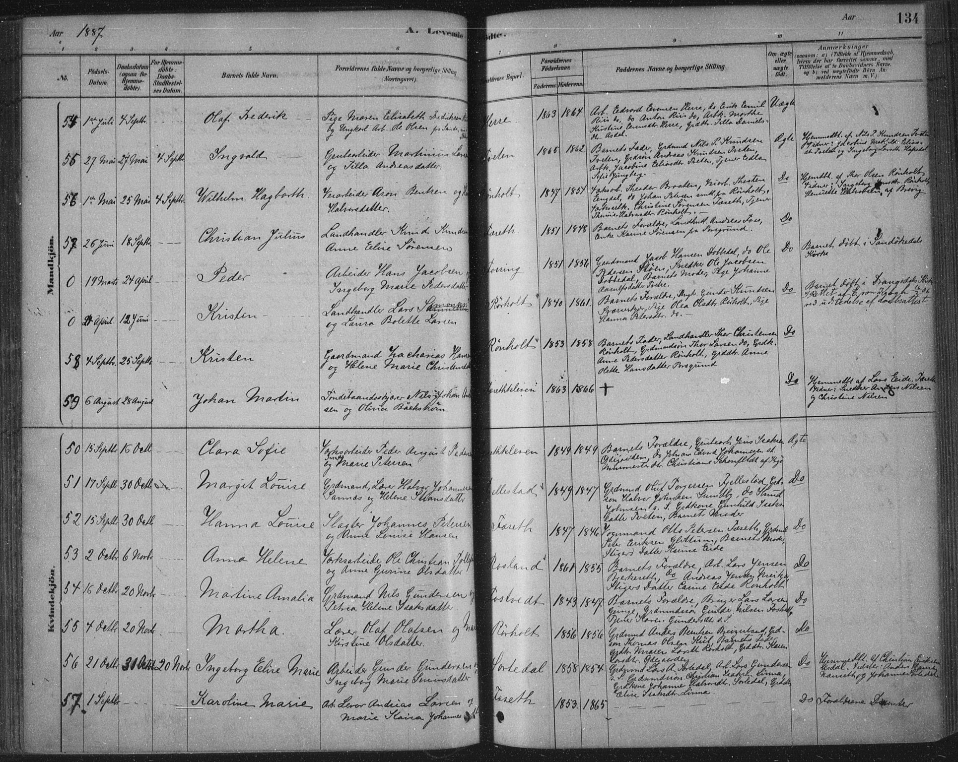 Bamble kirkebøker, AV/SAKO-A-253/F/Fa/L0007: Ministerialbok nr. I 7, 1878-1888, s. 134