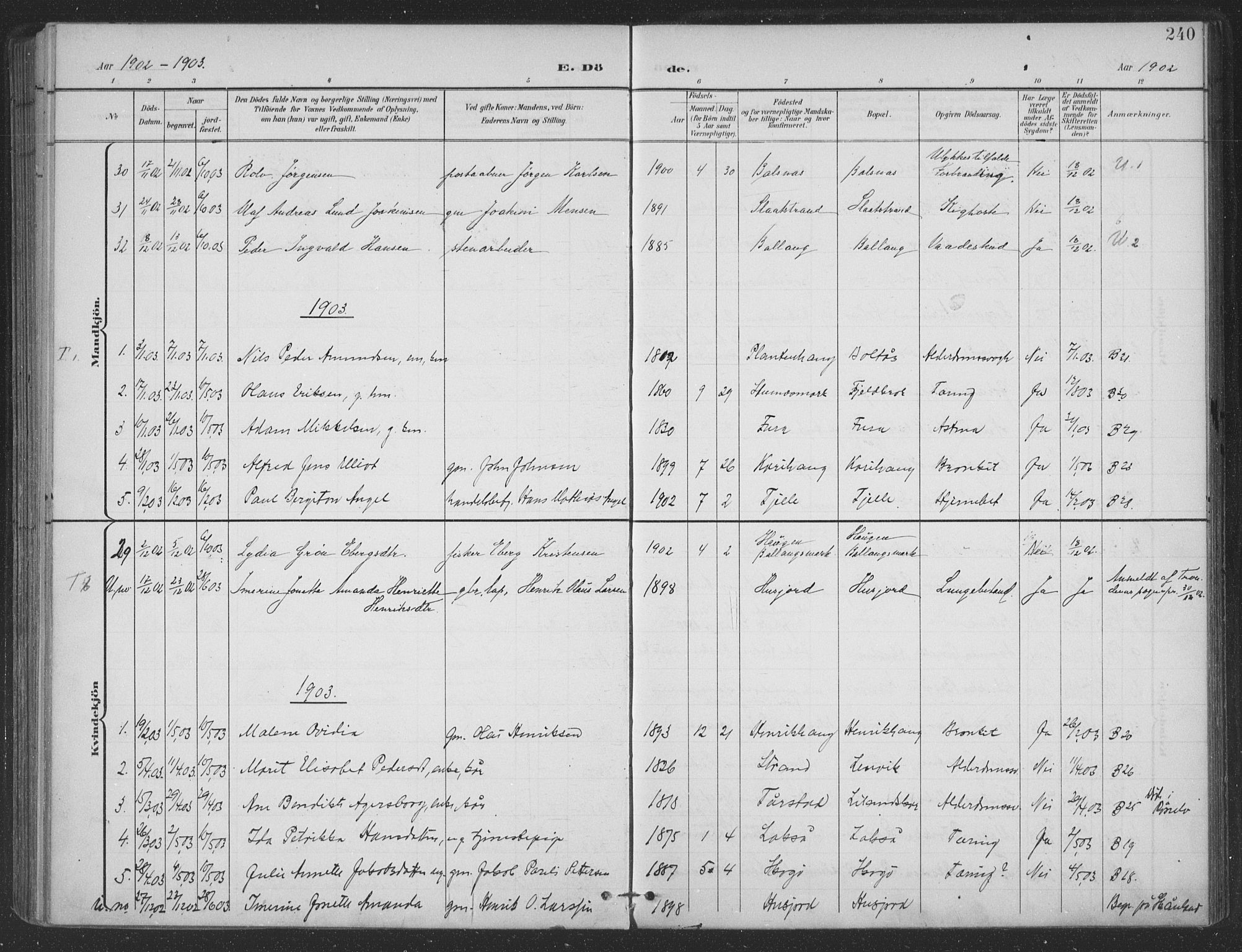 Ministerialprotokoller, klokkerbøker og fødselsregistre - Nordland, SAT/A-1459/863/L0899: Ministerialbok nr. 863A11, 1897-1906, s. 240
