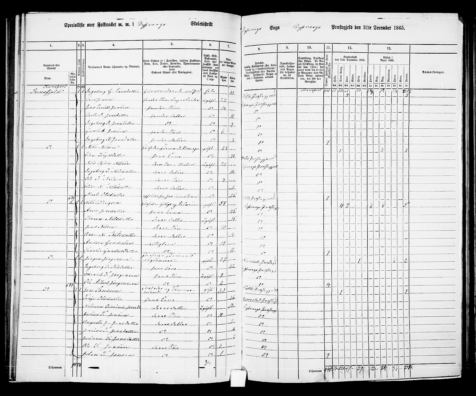 RA, Folketelling 1865 for 0915P Dypvåg prestegjeld, 1865, s. 91