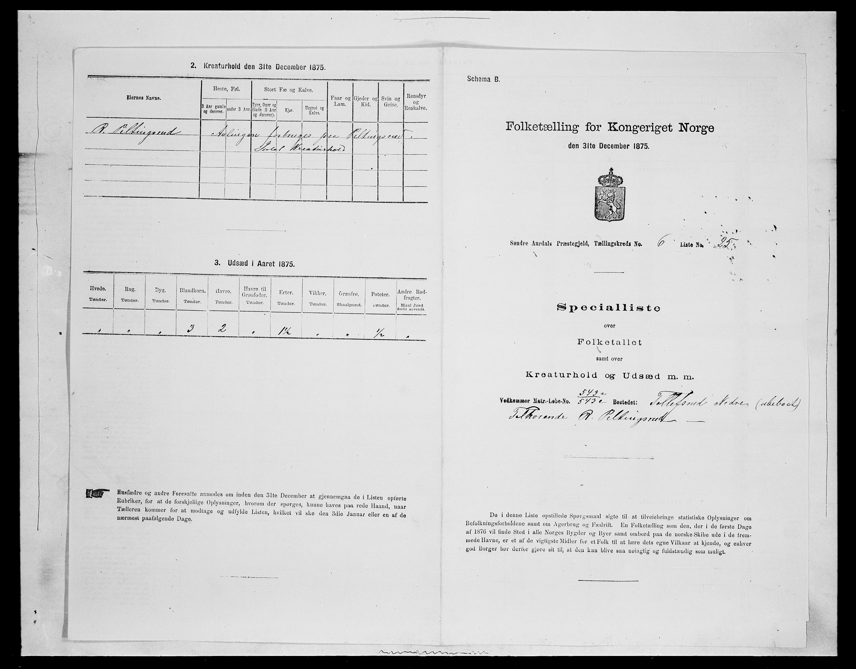 SAH, Folketelling 1875 for 0540P Sør-Aurdal prestegjeld, 1875, s. 1036