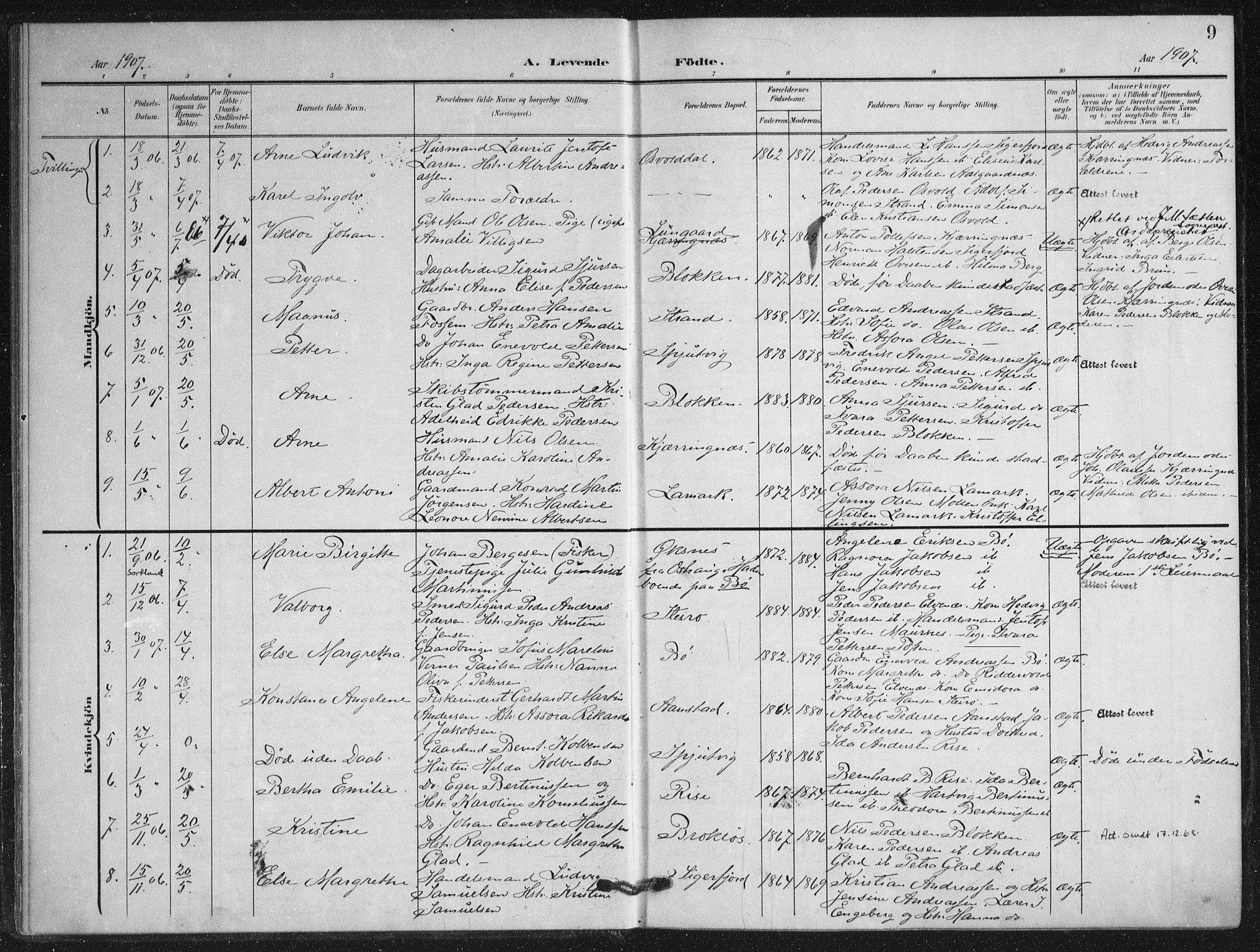 Ministerialprotokoller, klokkerbøker og fødselsregistre - Nordland, AV/SAT-A-1459/895/L1373: Ministerialbok nr. 895A08, 1905-1915, s. 9