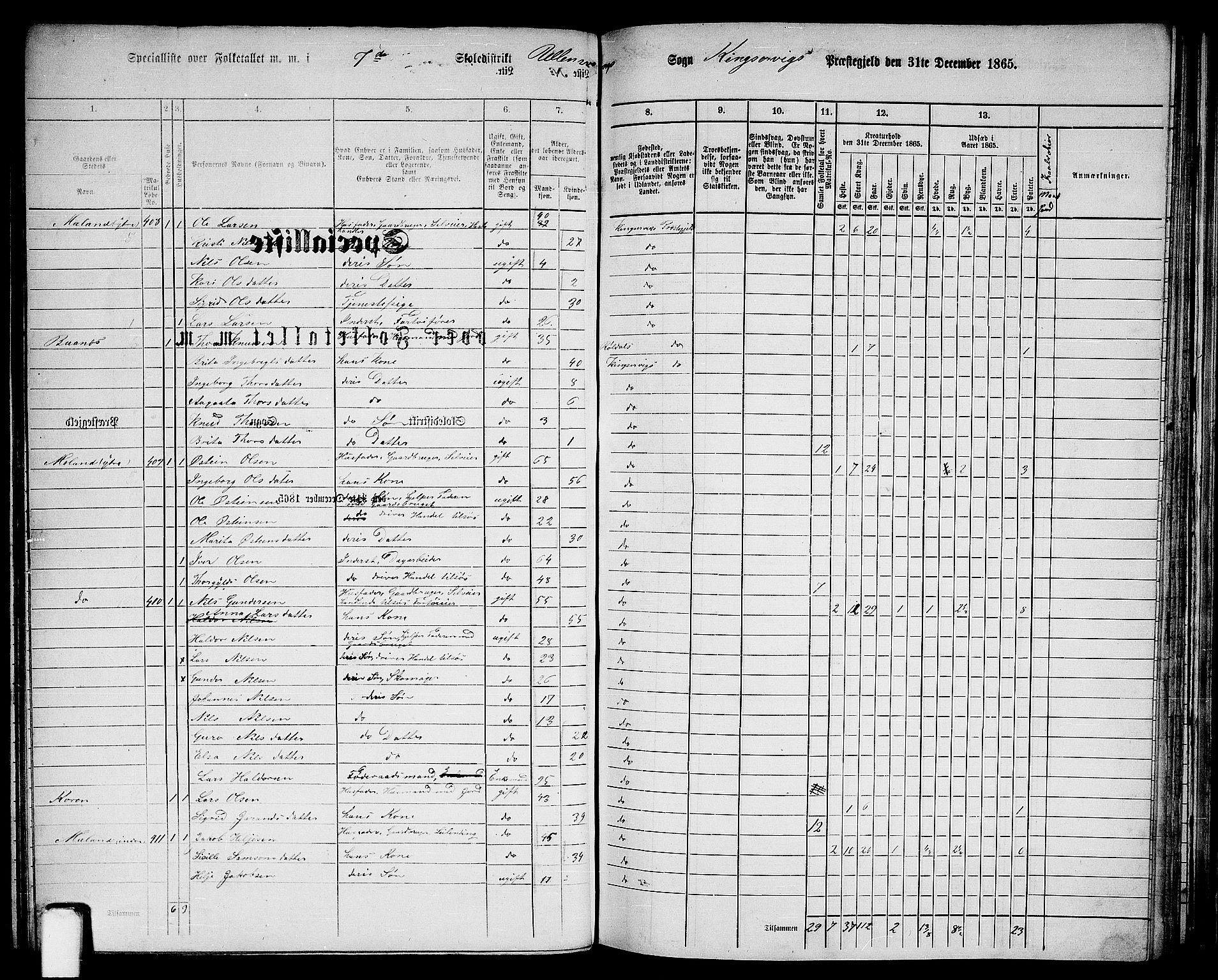 RA, Folketelling 1865 for 1230P Kinsarvik prestegjeld, 1865, s. 85