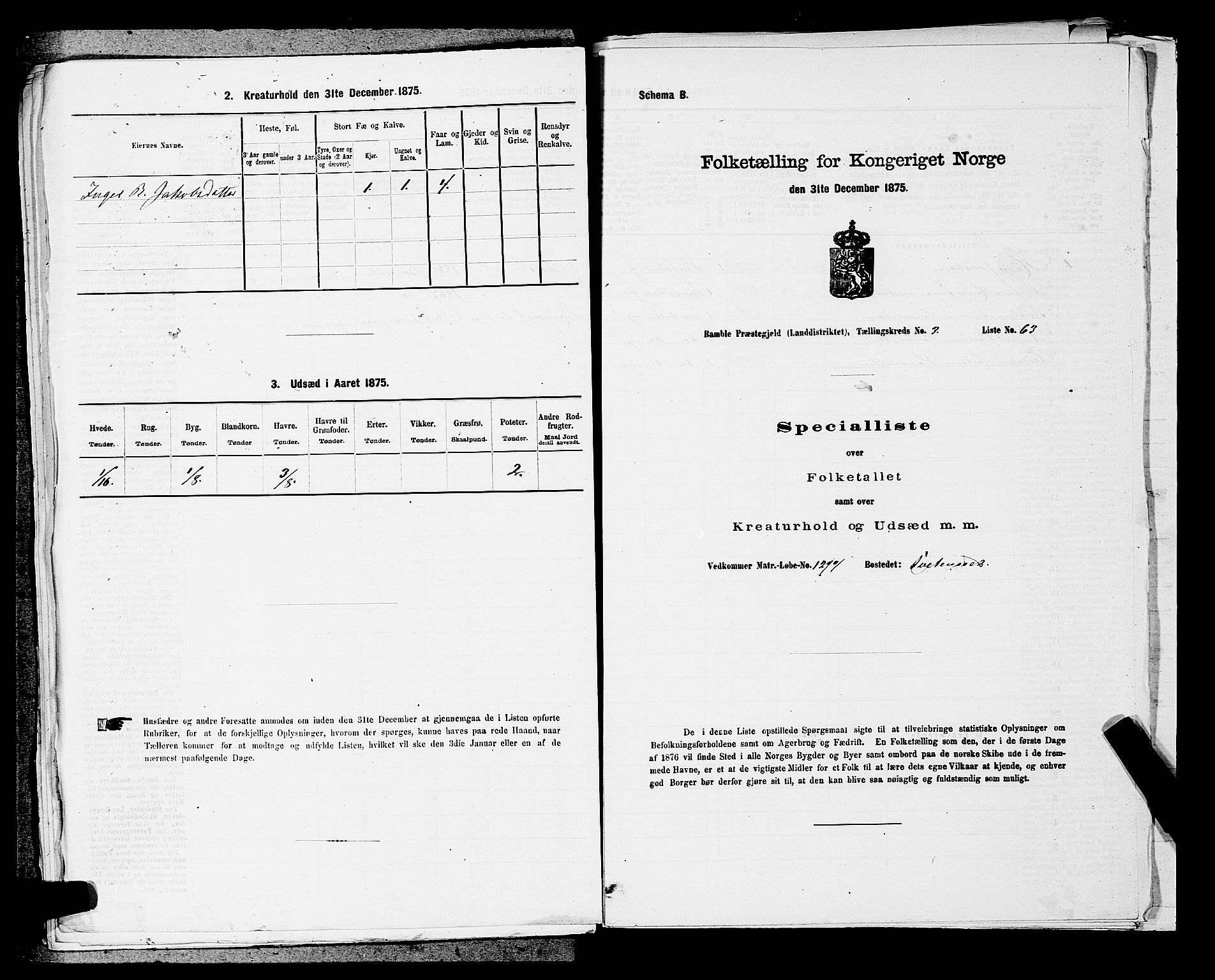 SAKO, Folketelling 1875 for 0814L Bamble prestegjeld, Bamble sokn, 1875, s. 520