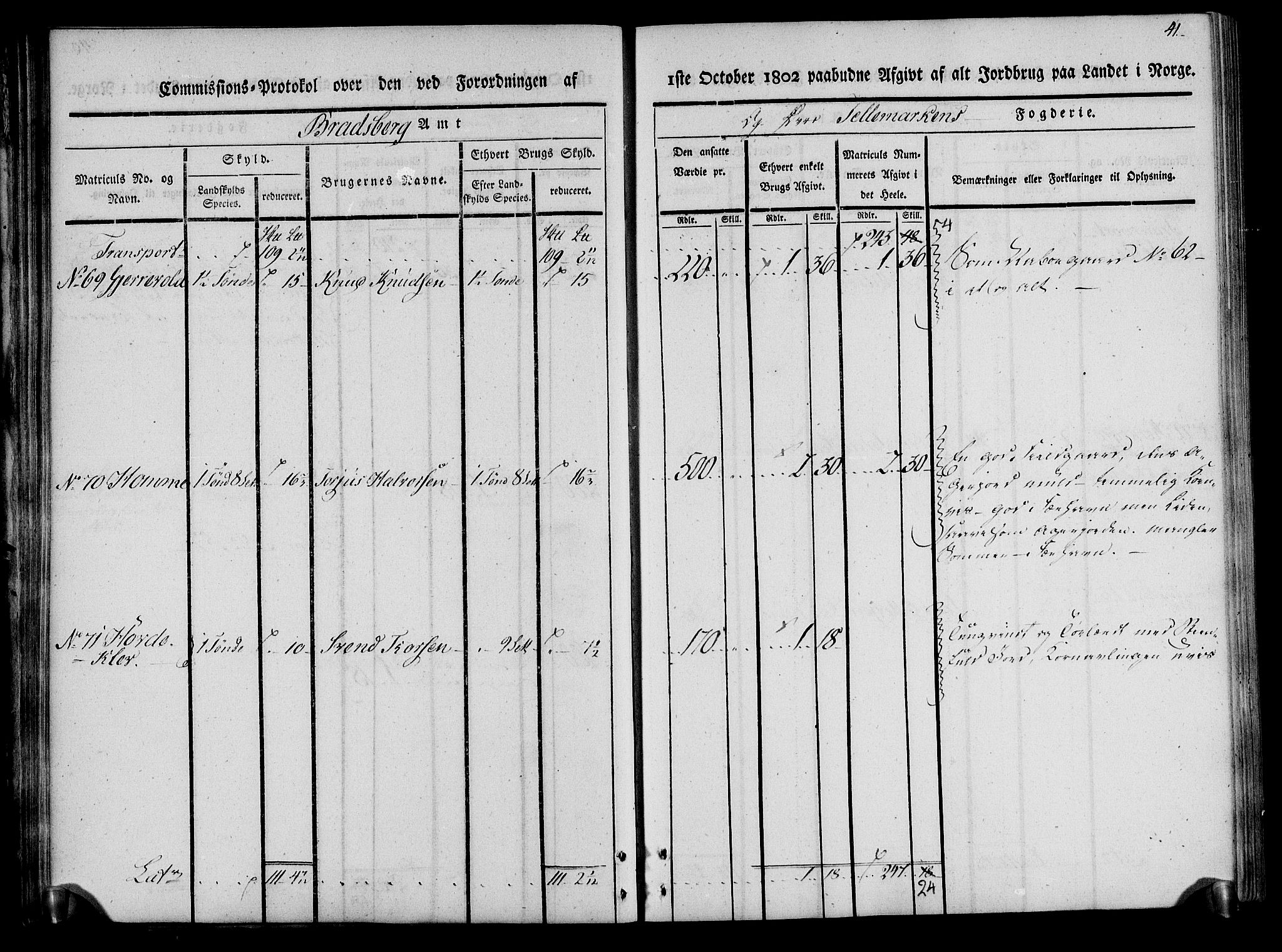 Rentekammeret inntil 1814, Realistisk ordnet avdeling, AV/RA-EA-4070/N/Ne/Nea/L0075: Øvre Telemarken fogderi. Kommisjonsprotokoll for fogderiets vestre del - Kviteseid, Vinje, Moland [):Fyresdal] og Lårdal prestegjeld., 1803, s. 41