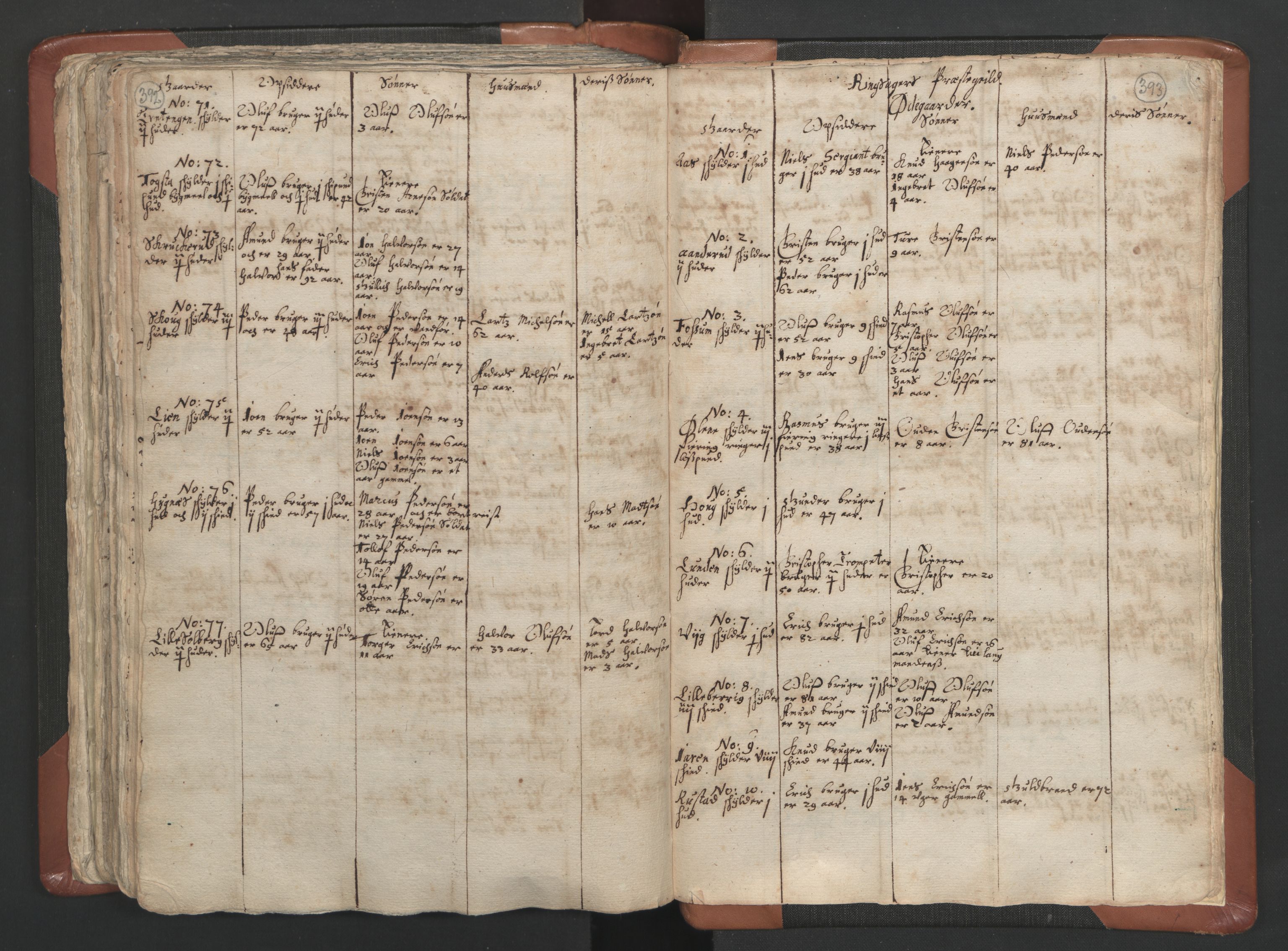 RA, Sogneprestenes manntall 1664-1666, nr. 5: Hedmark prosti, 1664-1666, s. 392-393