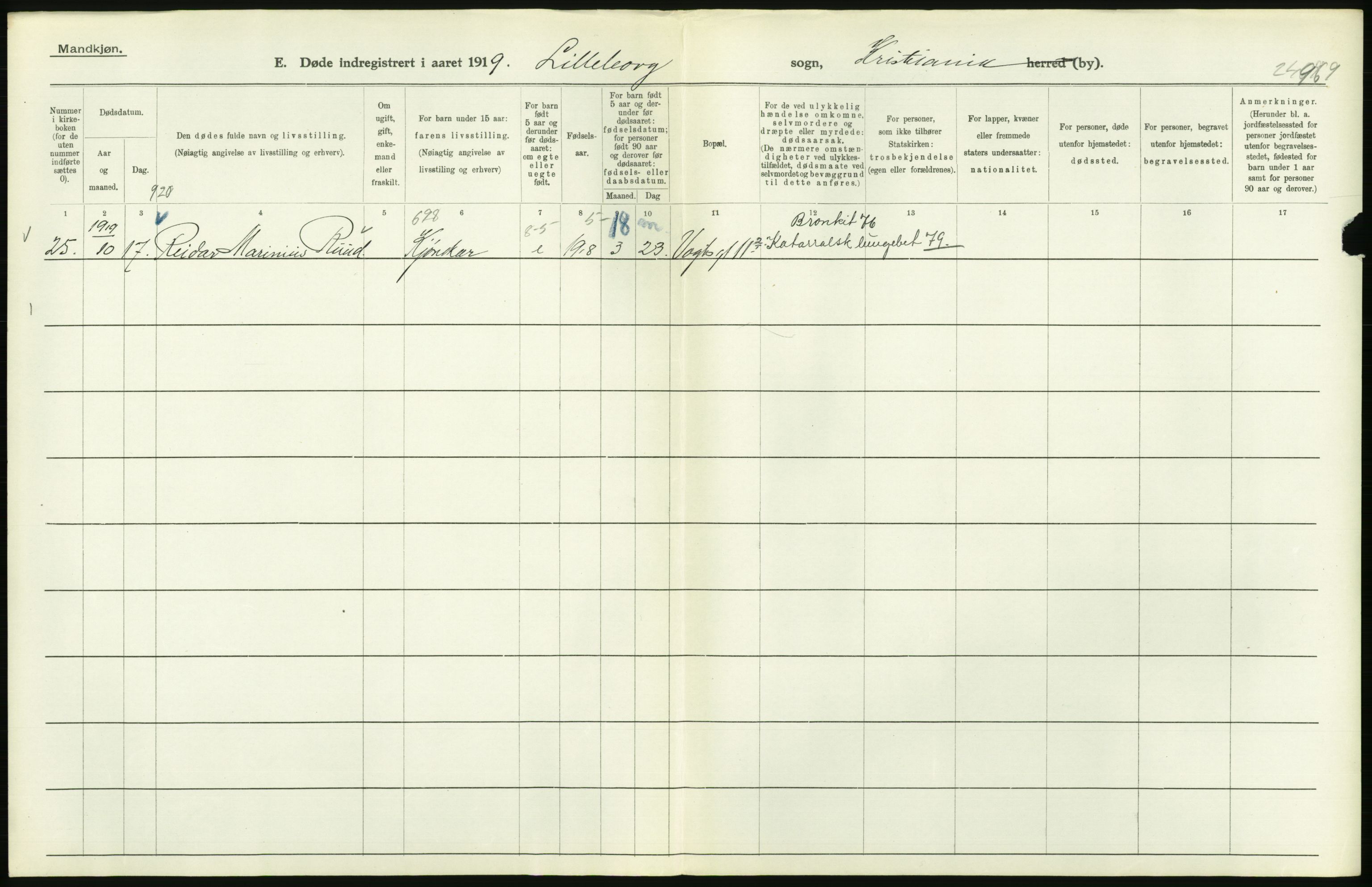 Statistisk sentralbyrå, Sosiodemografiske emner, Befolkning, AV/RA-S-2228/D/Df/Dfb/Dfbi/L0010: Kristiania: Døde, 1919, s. 242